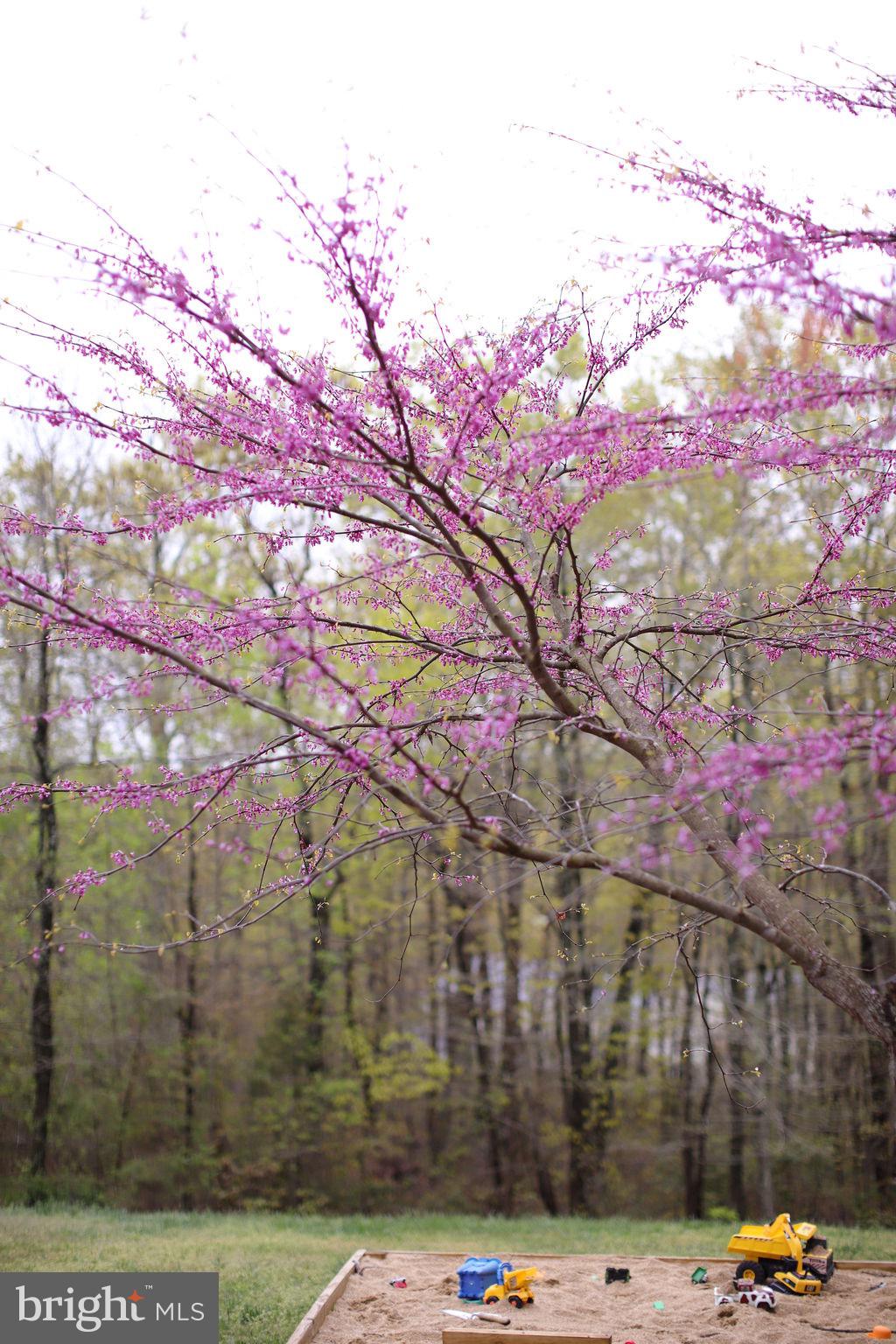 GREENELOVE ACRES - Residential