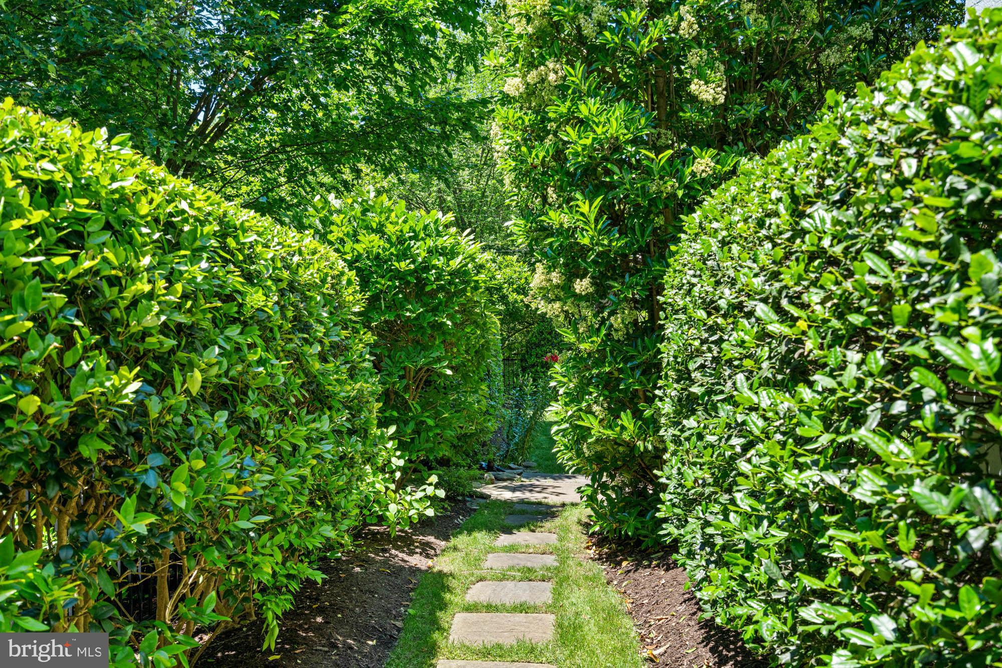 CHEVY CHASE VILLAGE - Residential