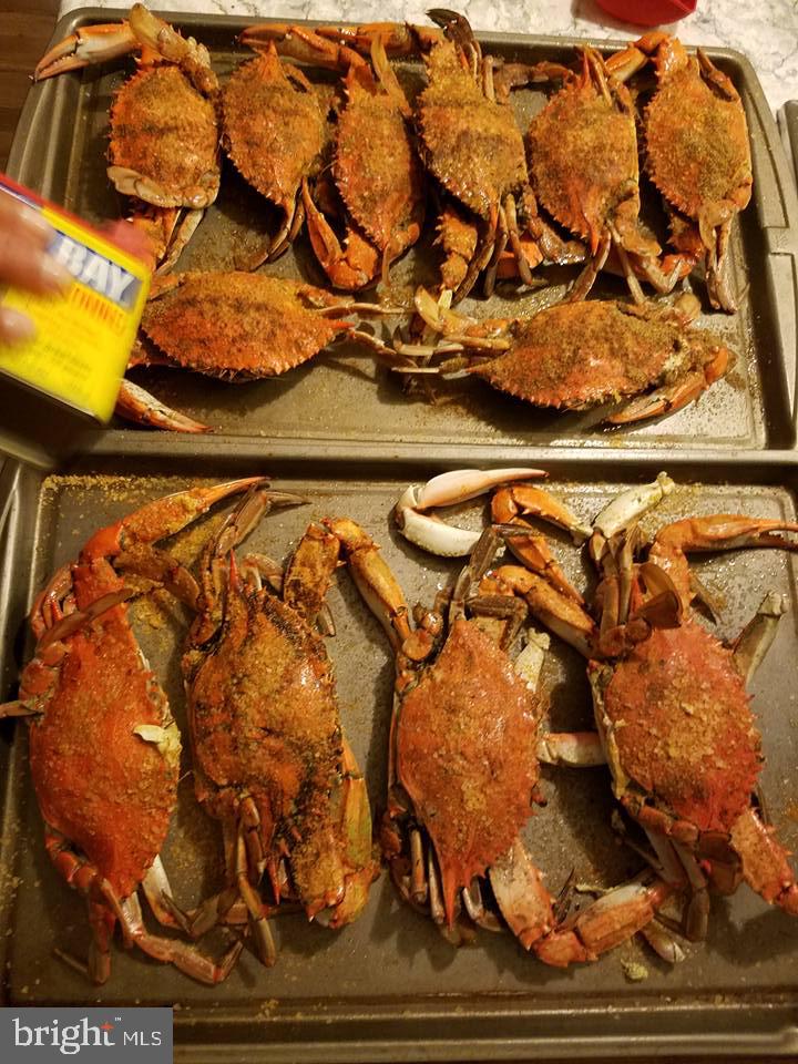 NORTH BROOK - Residential