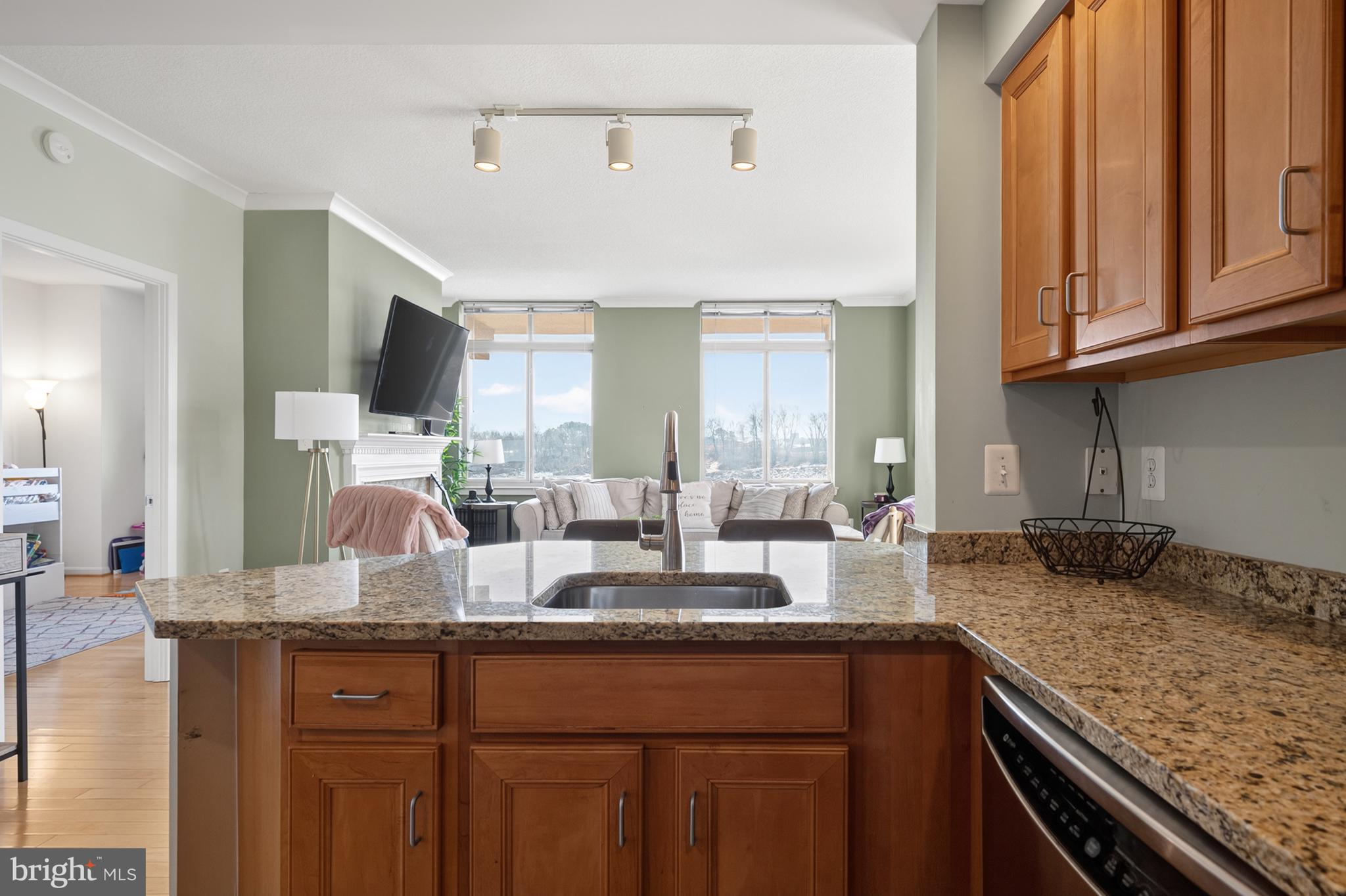 ELAN AT EAST MARKET - Residential