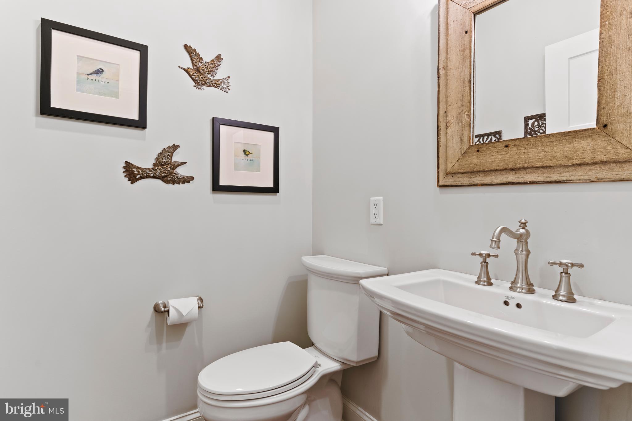 BRAEBURN ESTATES - Residential