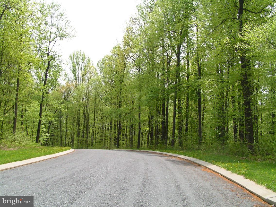 Lot 10 MOCKINGBIRD LANE