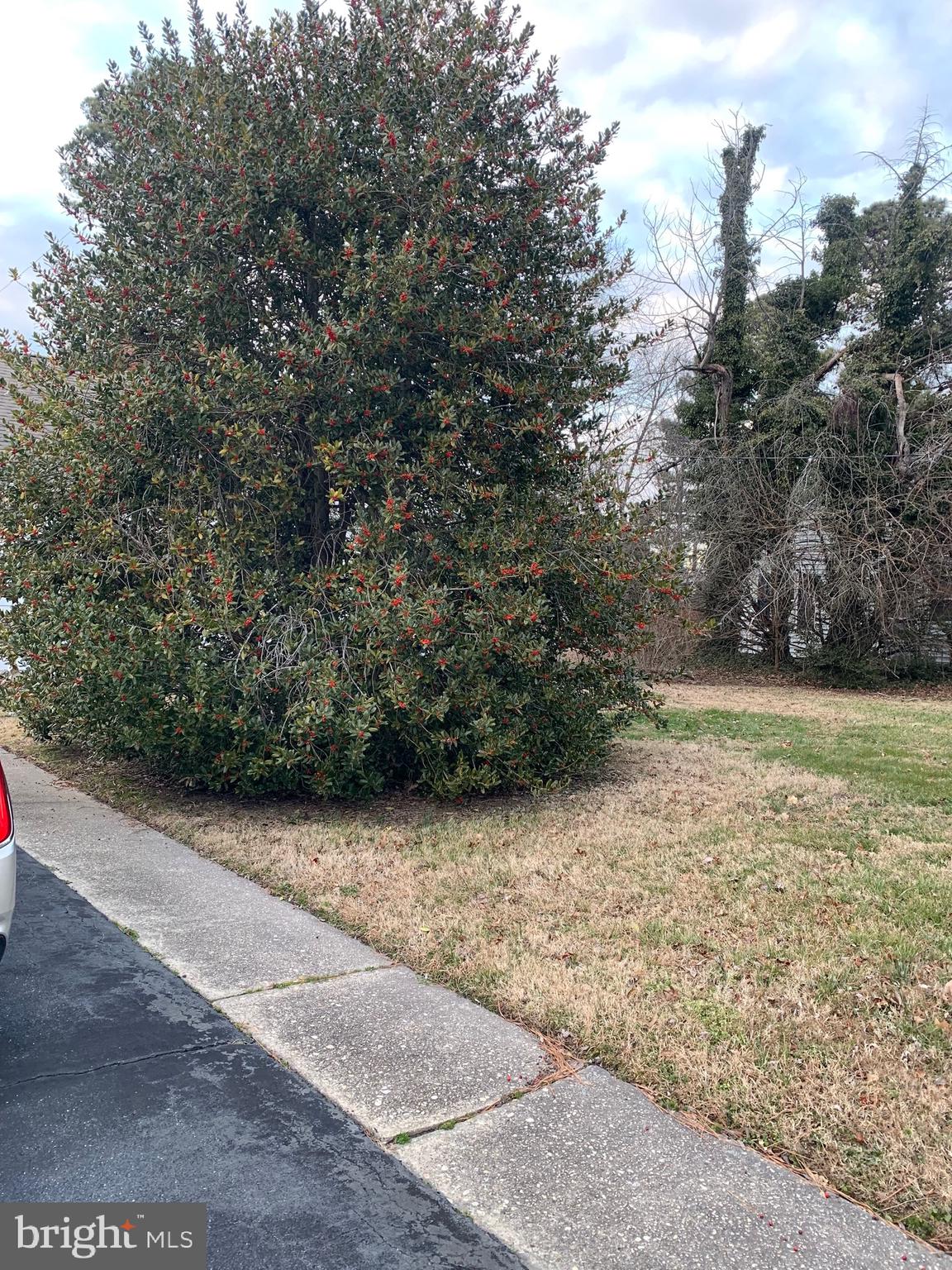 WEST END HISTORIC DISTRICT - Residential