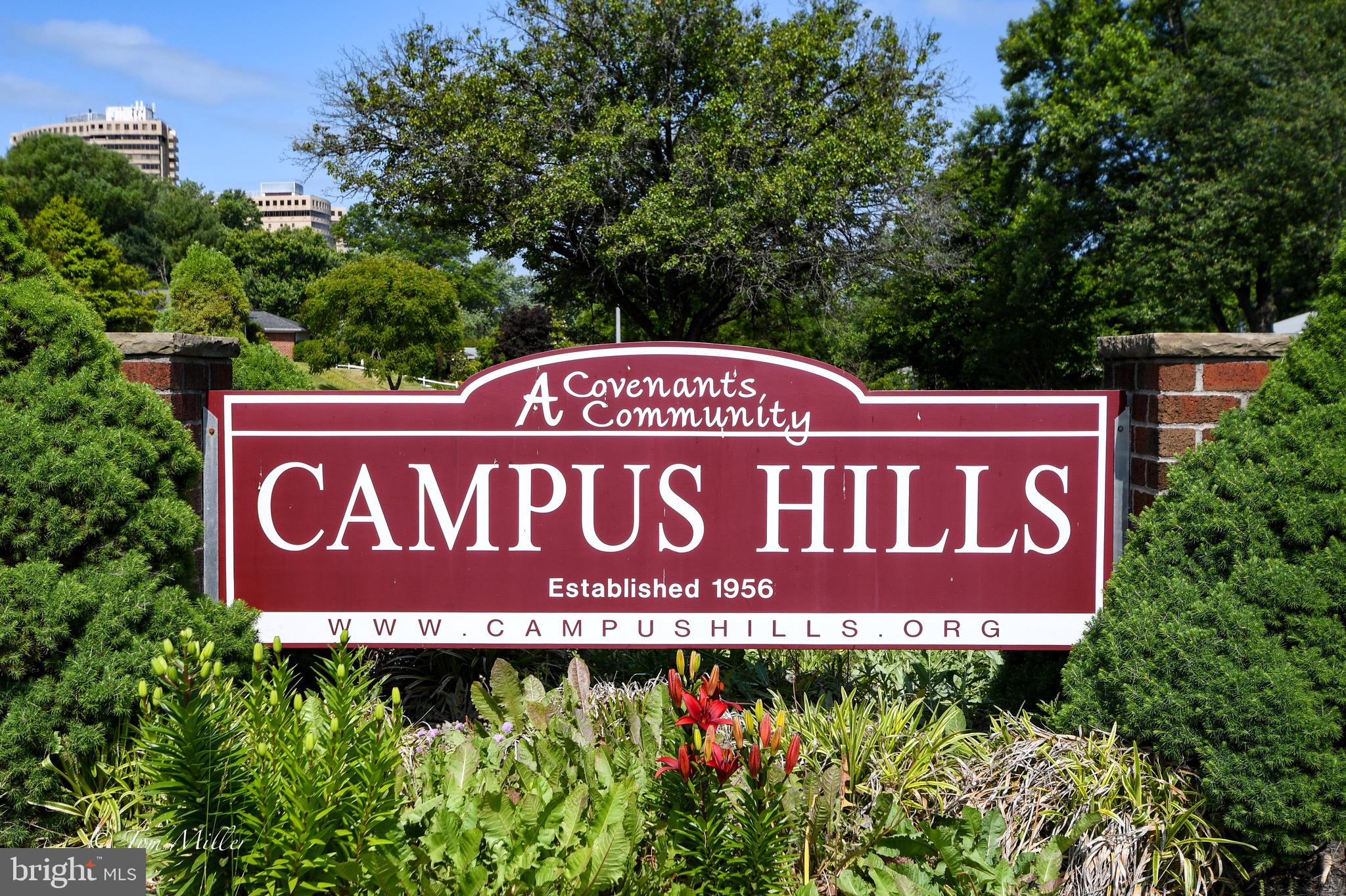 CAMPUS HILLS - Residential