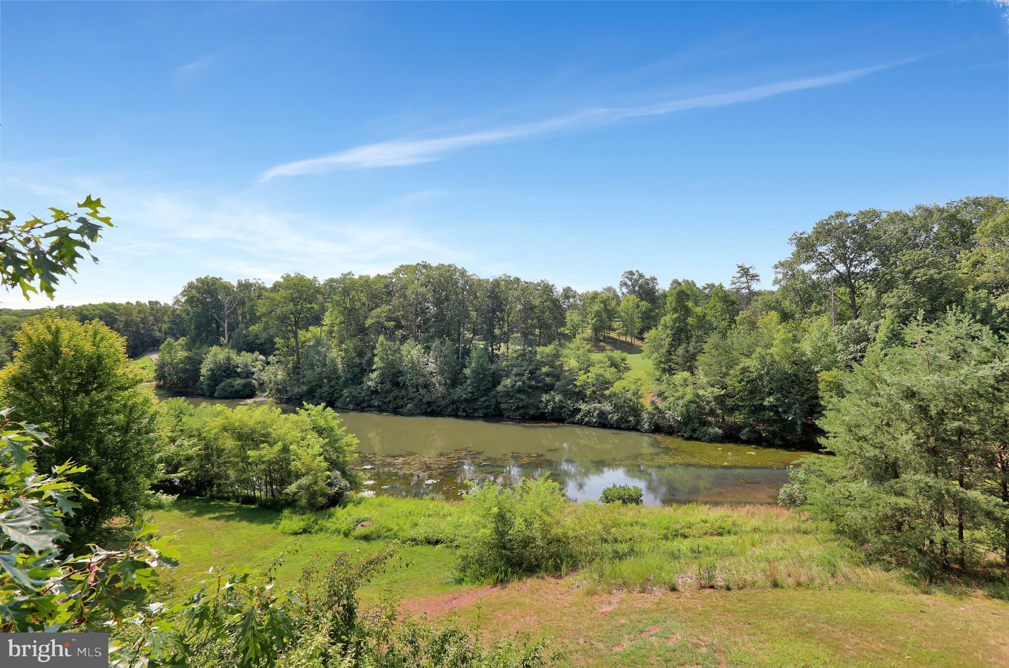 THE WOODS - Residential