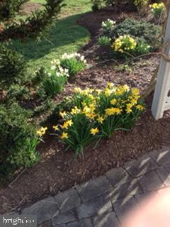 BROOKSIDE - Residential