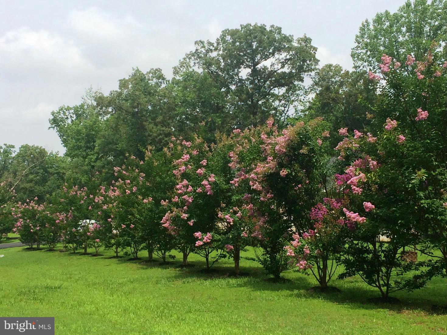 CASTLE CREEK - Residential