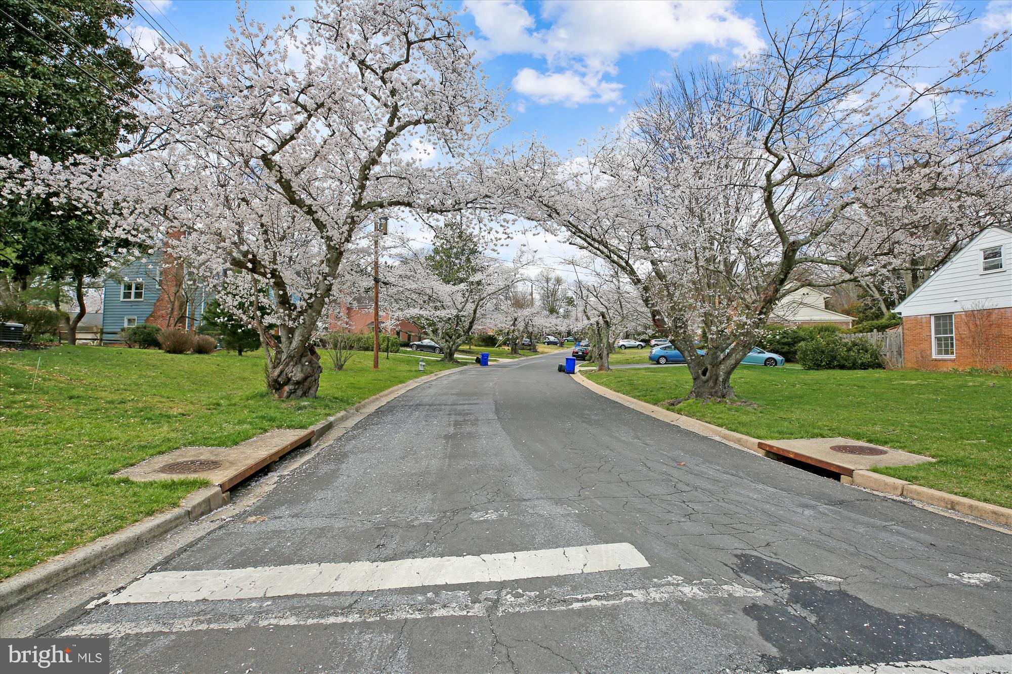 MONTROSE WOODS - Residential