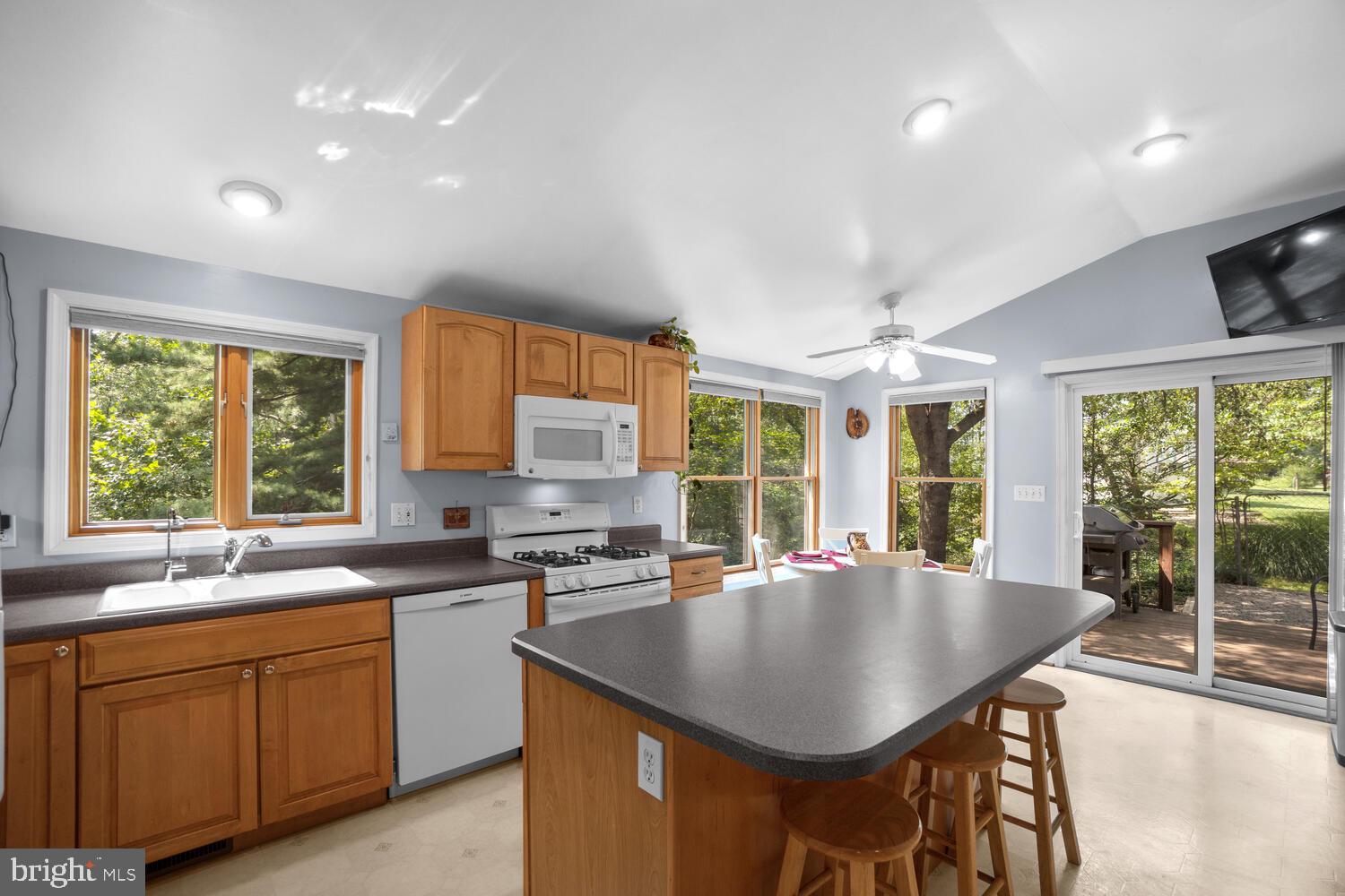 WILLIAMSBURG VILLAGE - Residential