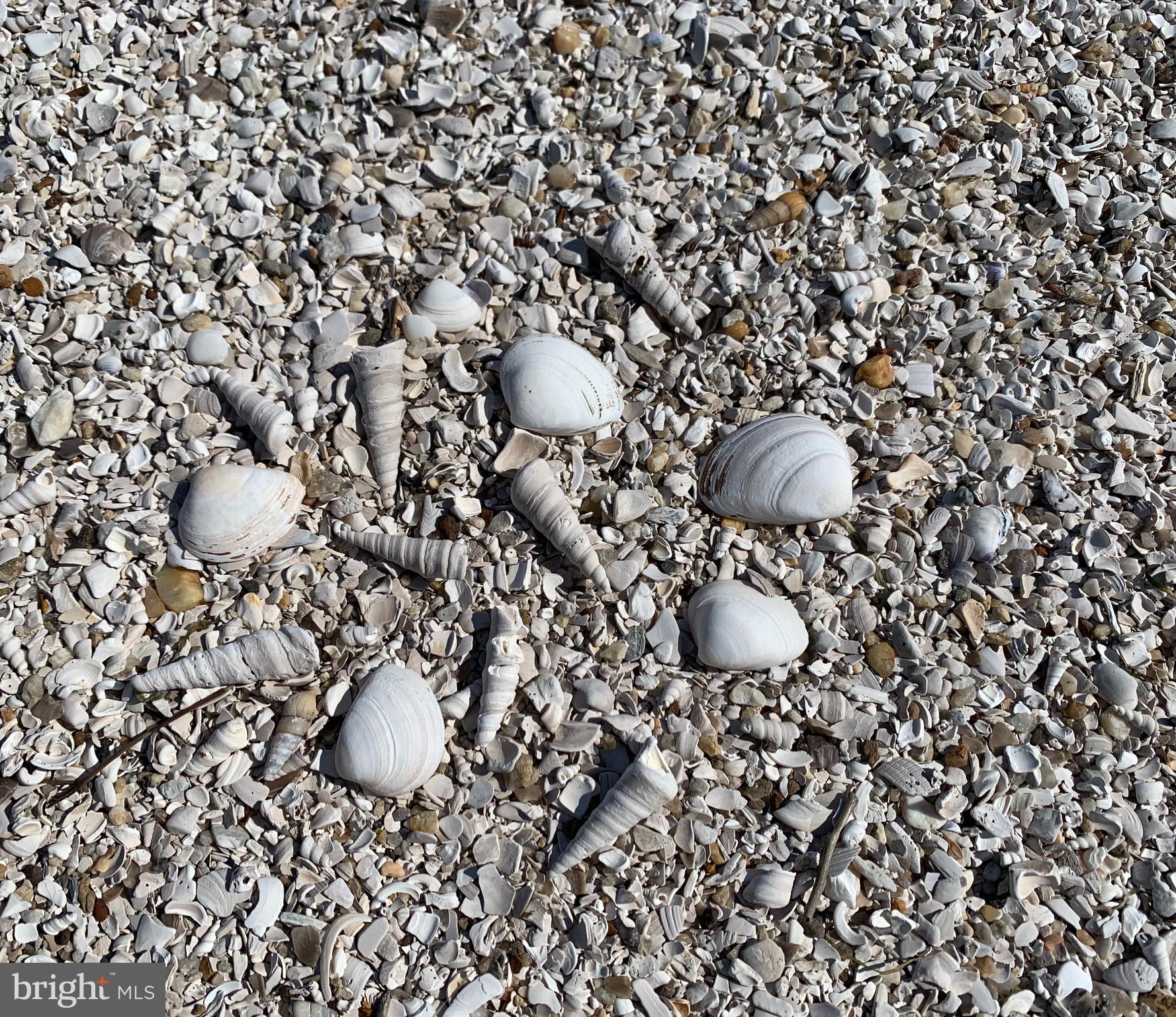 PRESERVE AT BELVEDERE - Land