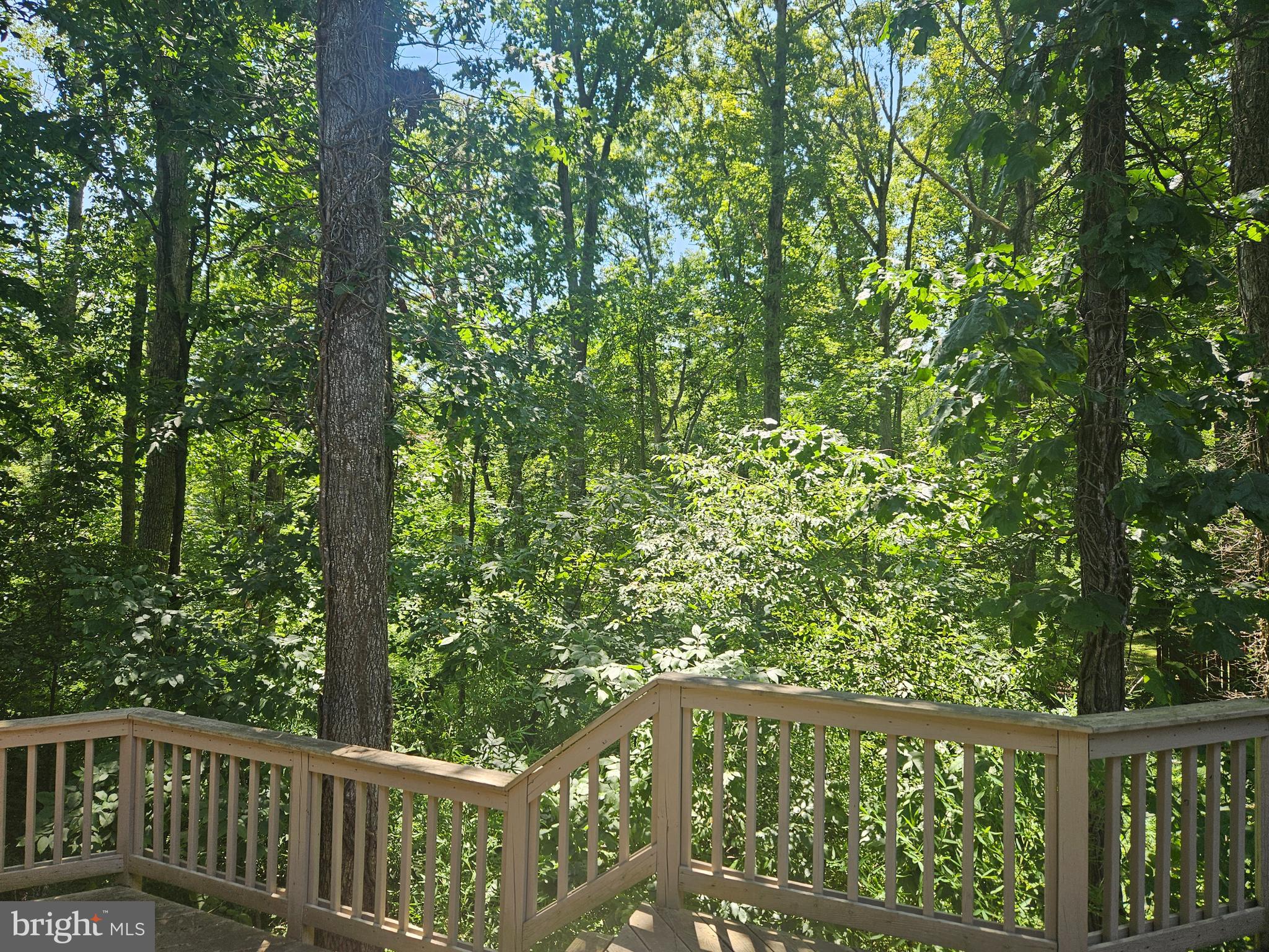 2609 WOODFERN COURT