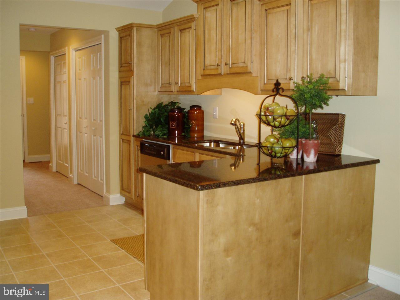 OLDE ORCHARD HILL - Residential