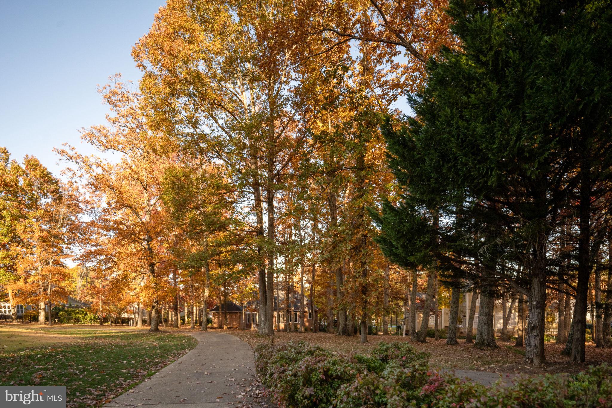 FAWN LAKE - Residential