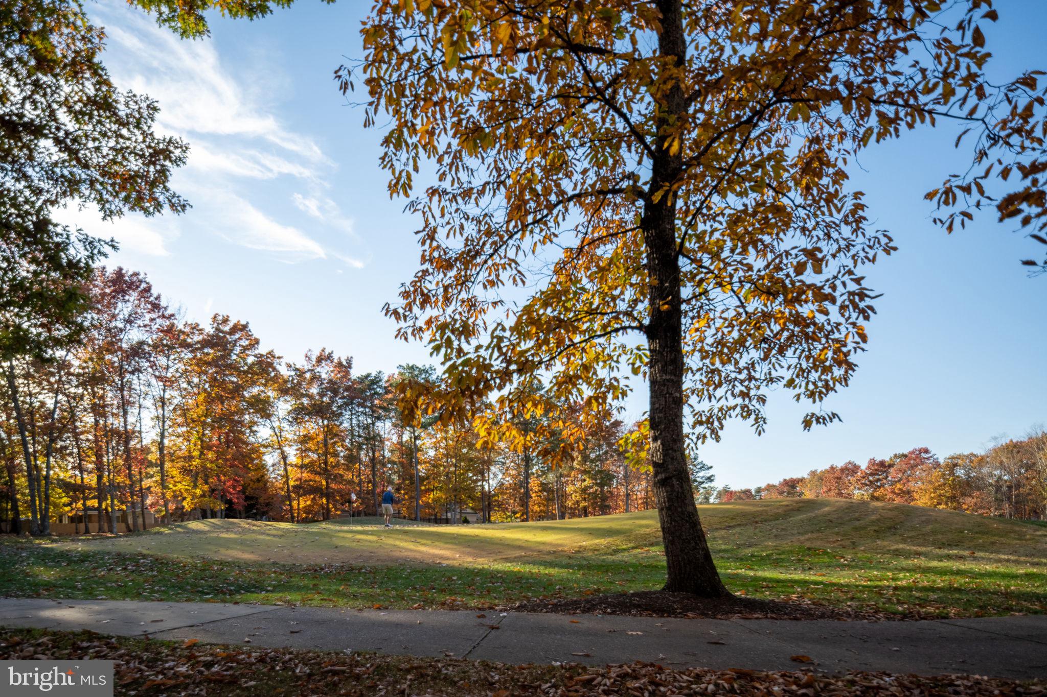 FAWN LAKE - Residential