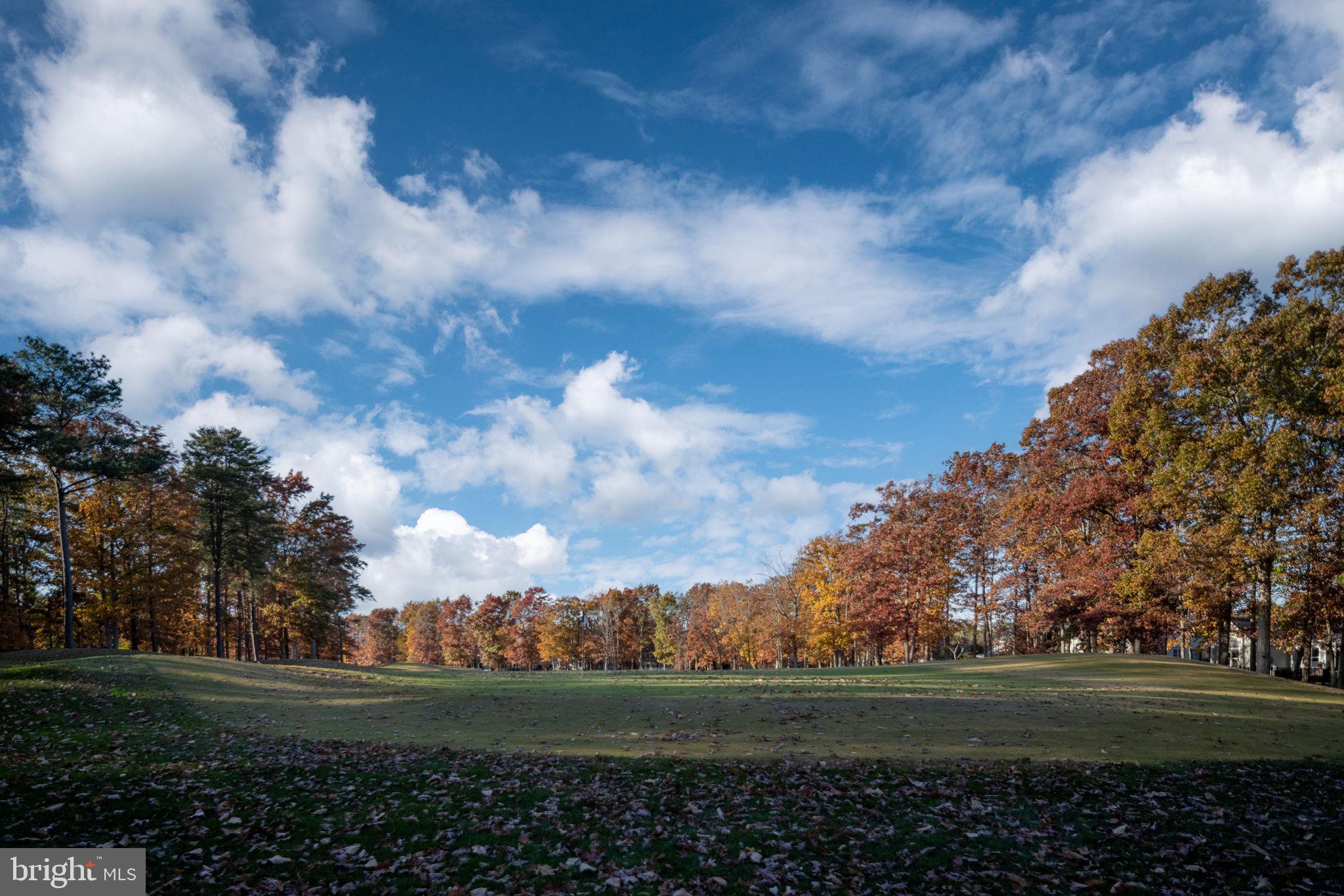FAWN LAKE - Residential