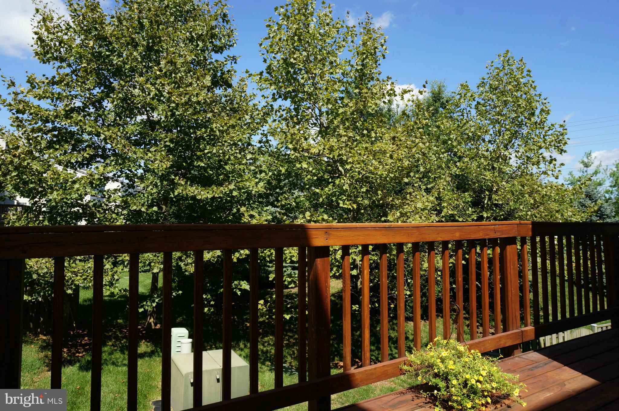 WELLESLEY - Residential Lease