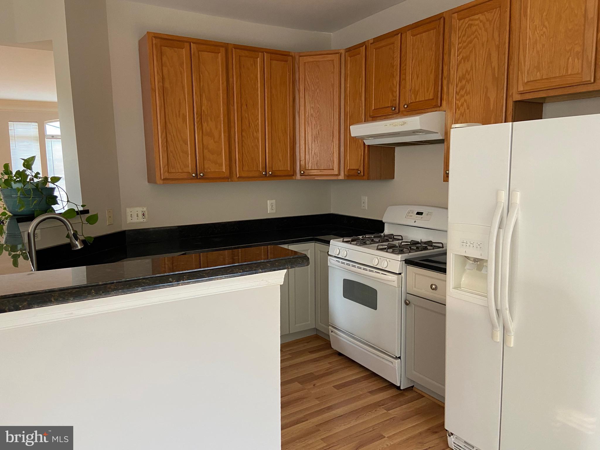 46182 CHESTER TERRACE