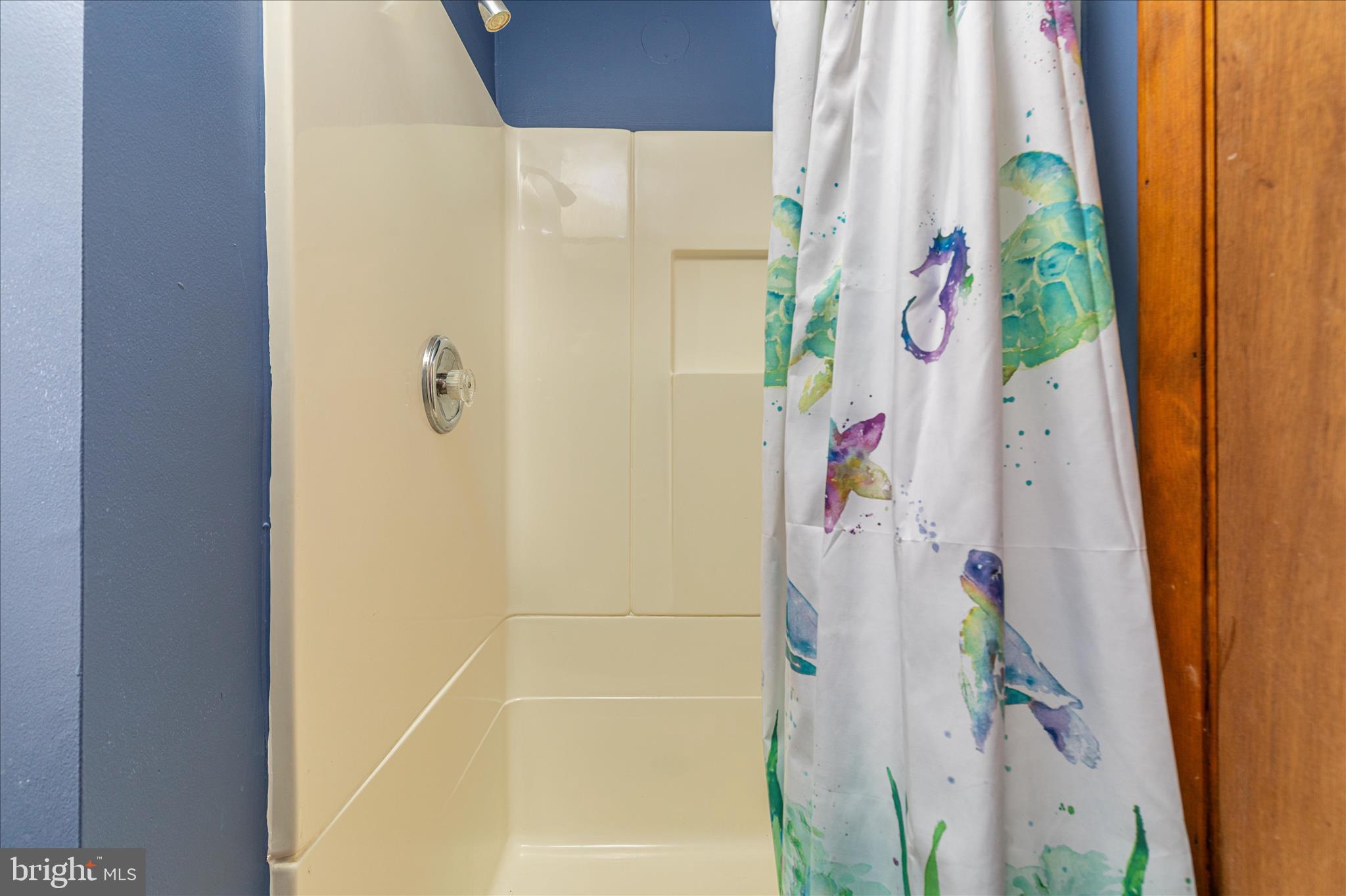 BLUE RIDGE ACRES - Residential