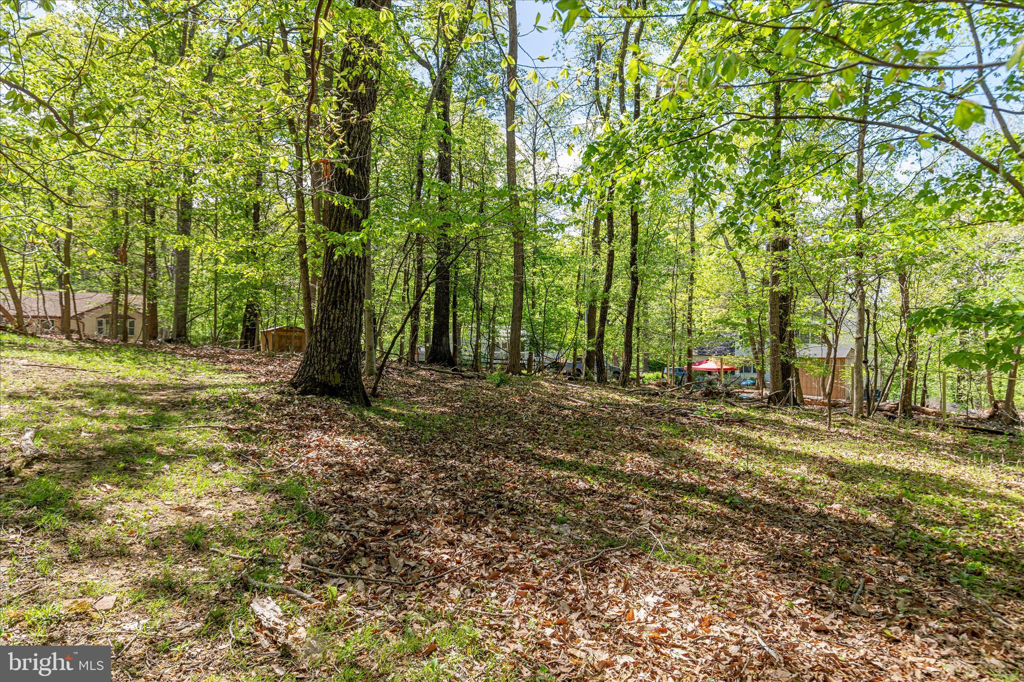 BLUE RIDGE ACRES - Residential