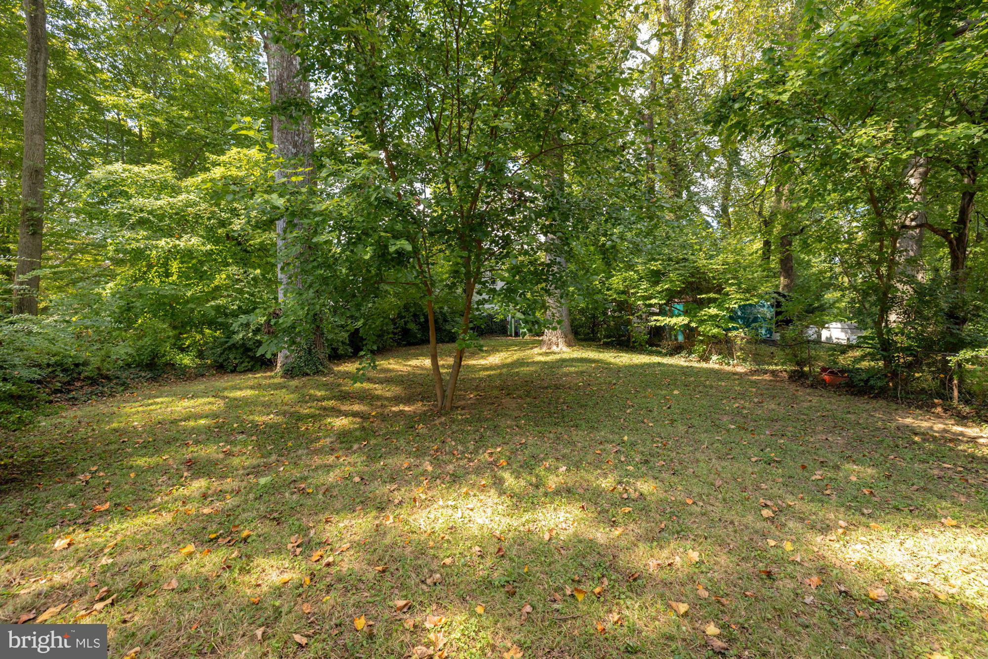 GEORGETOWN VILLAGE - Residential