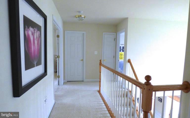 ACADEMY HILLS - Residential Lease