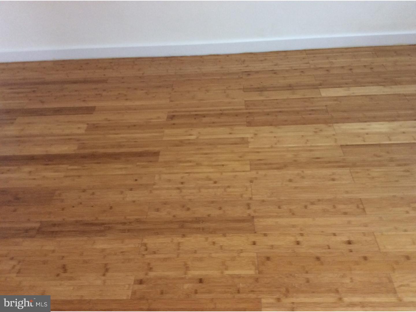 POWELTON VILLAGE - Residential