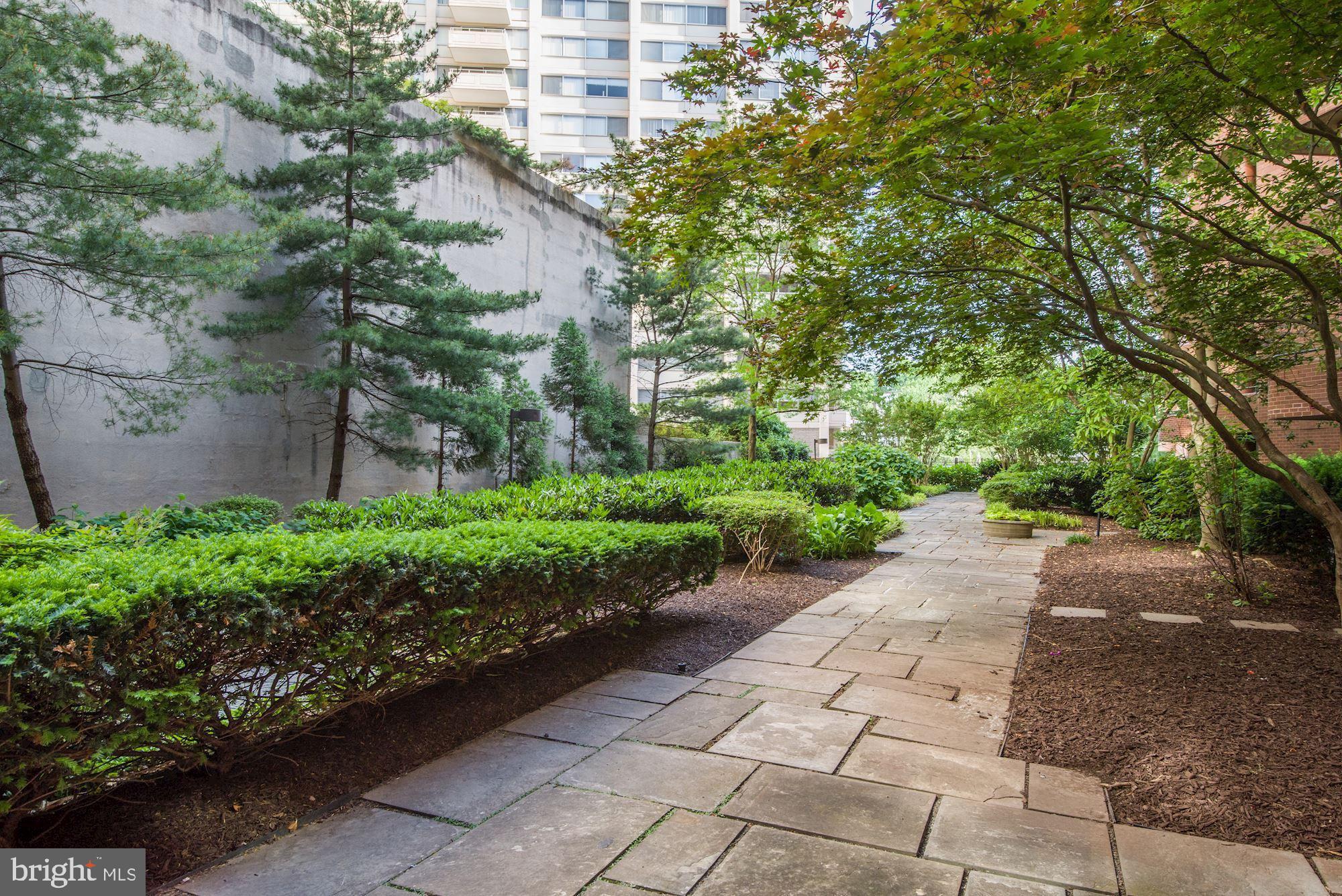 THE CARLETON OF CHEVY CHASE - Residential