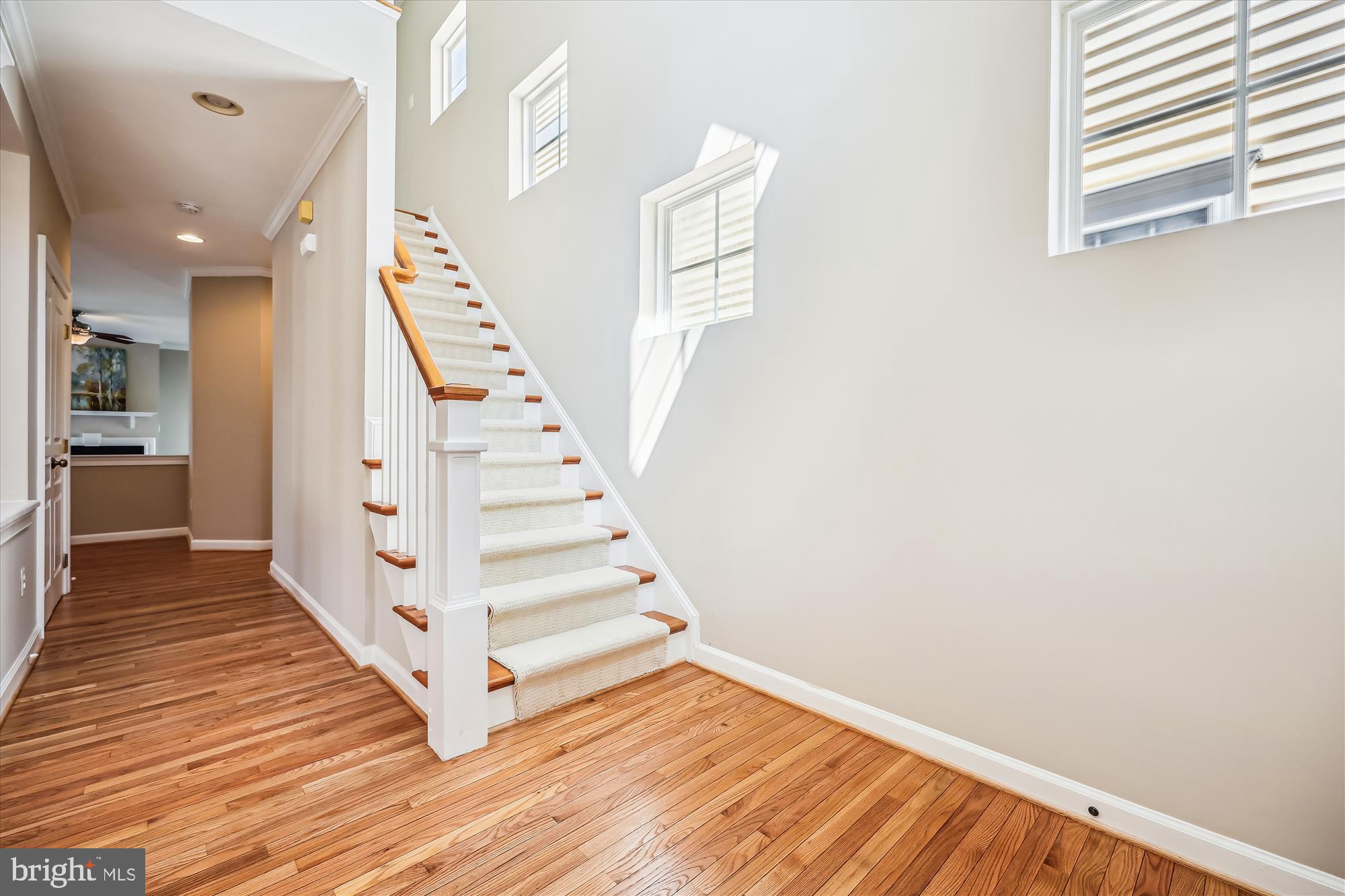 KING FARM WATKINS POND - Residential