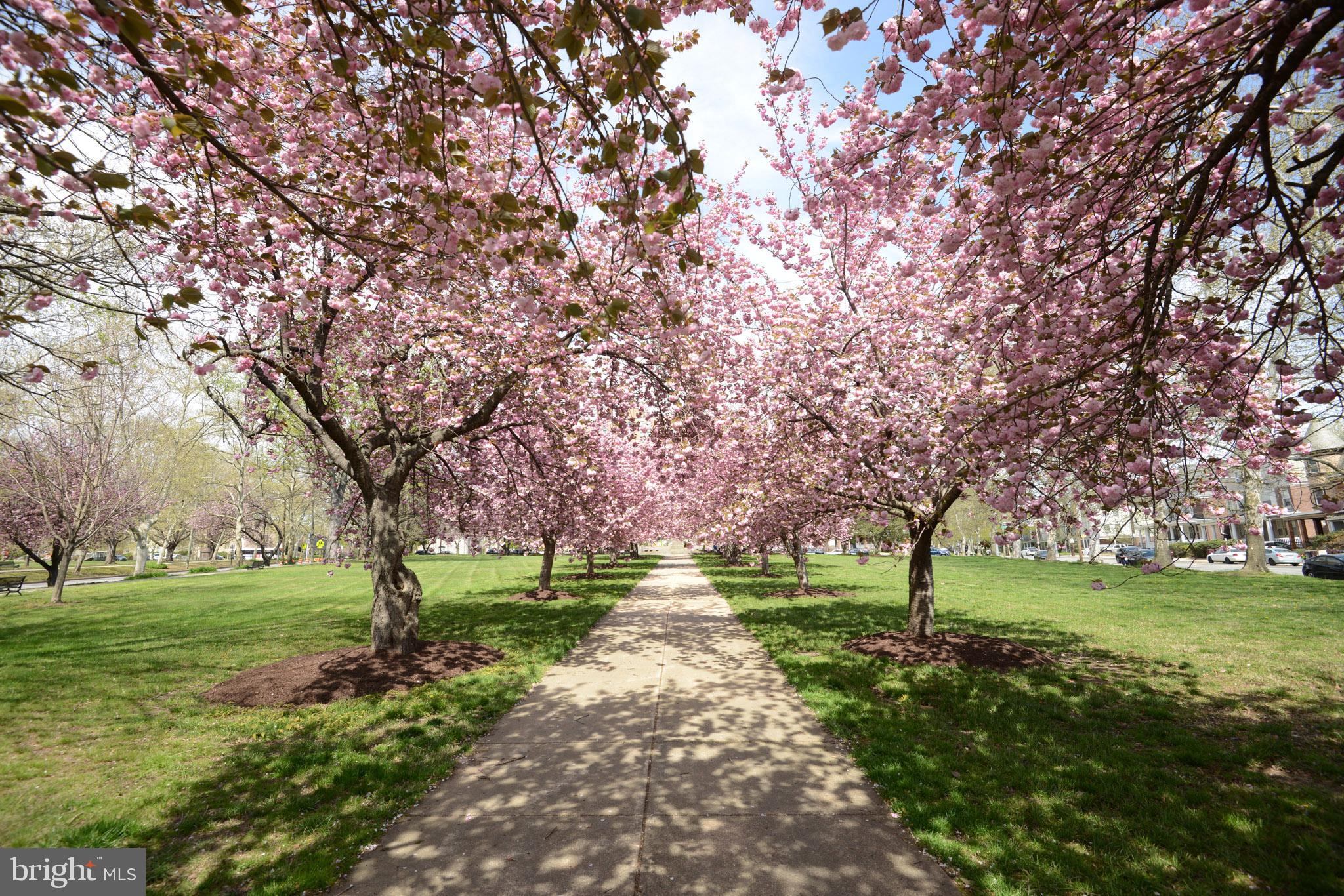 WILM #05 - Residential