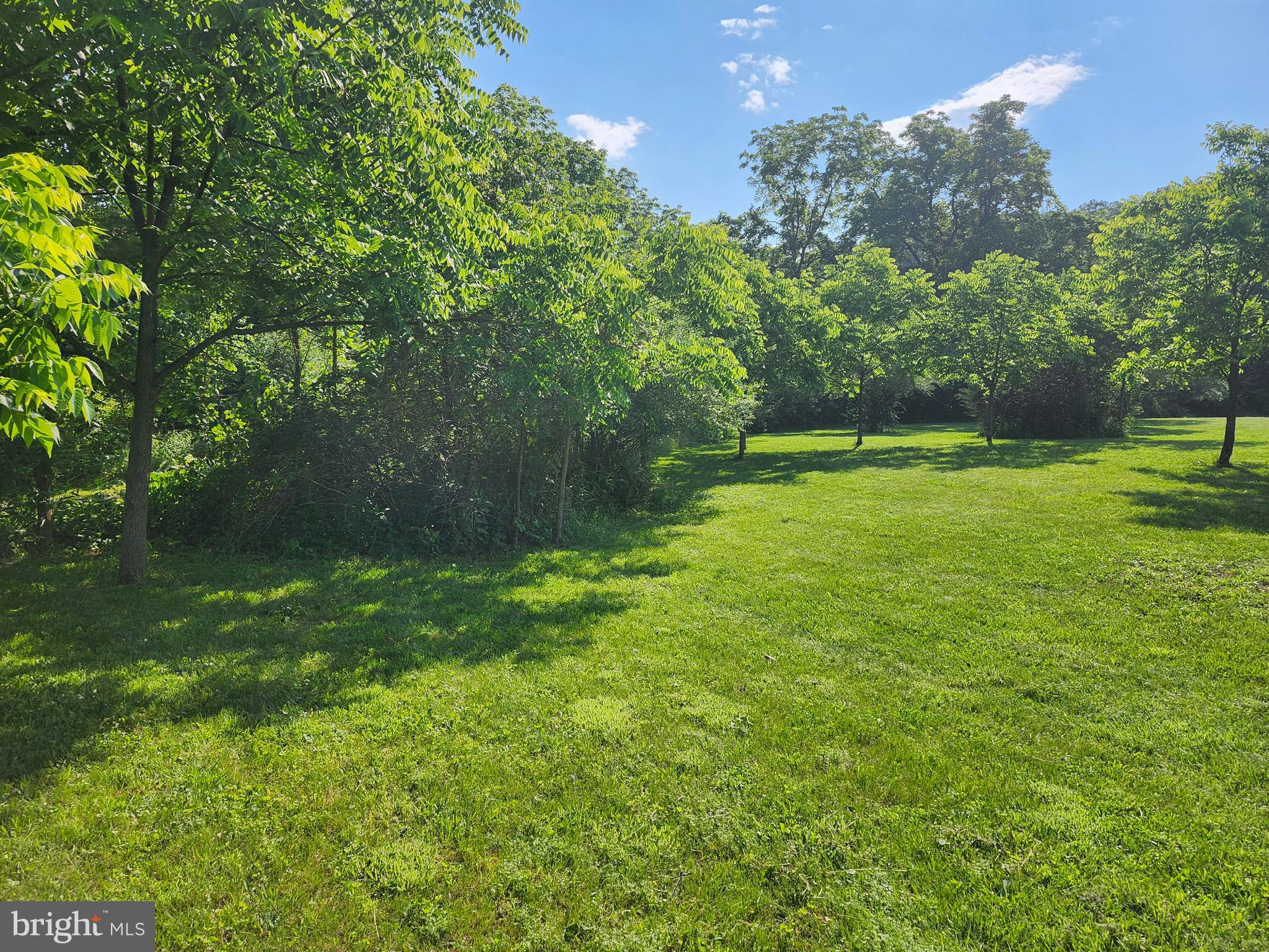 NORTH RIVER RUN - Land