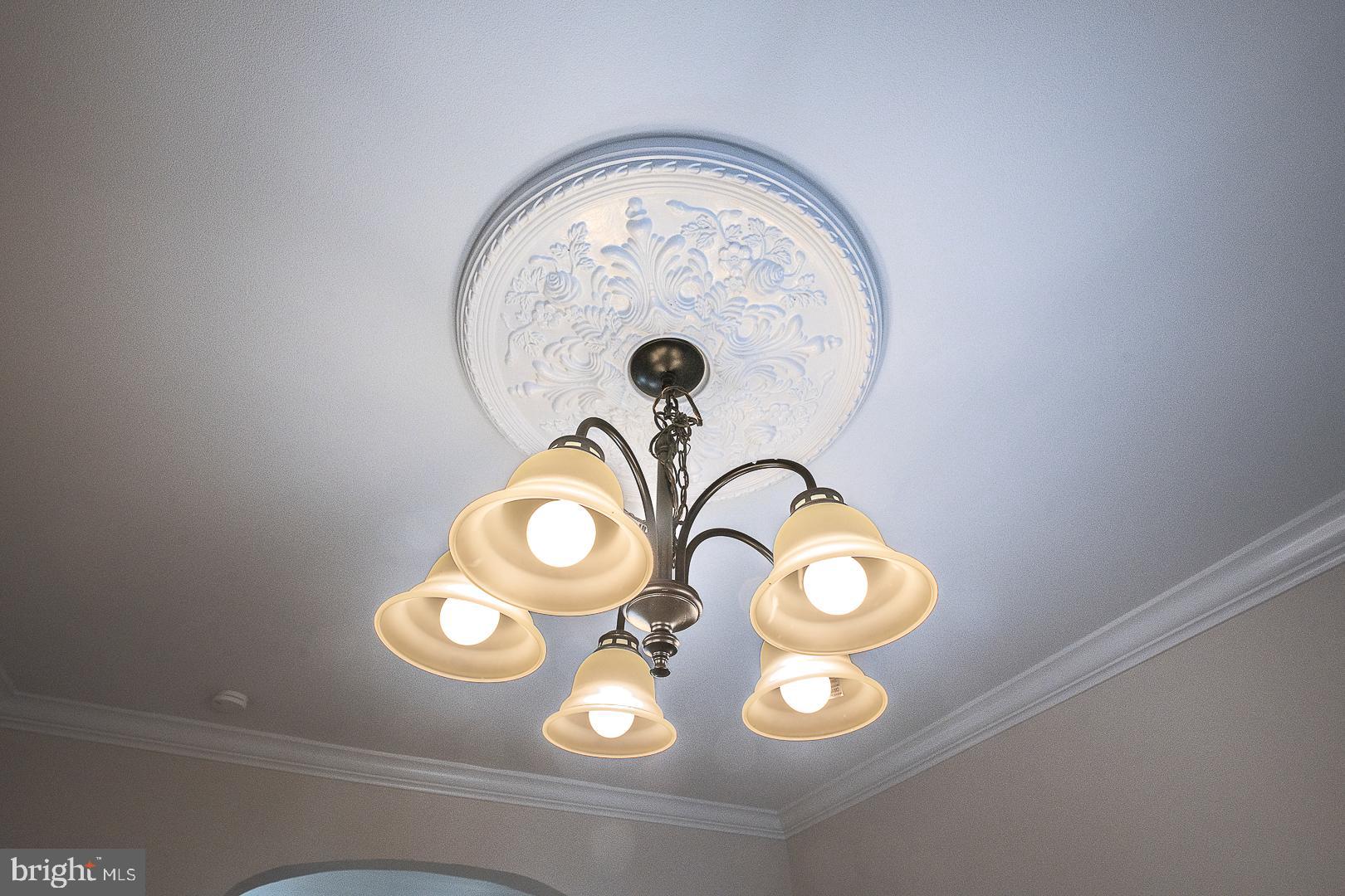 DOWNINGTOWN BORO - Residential