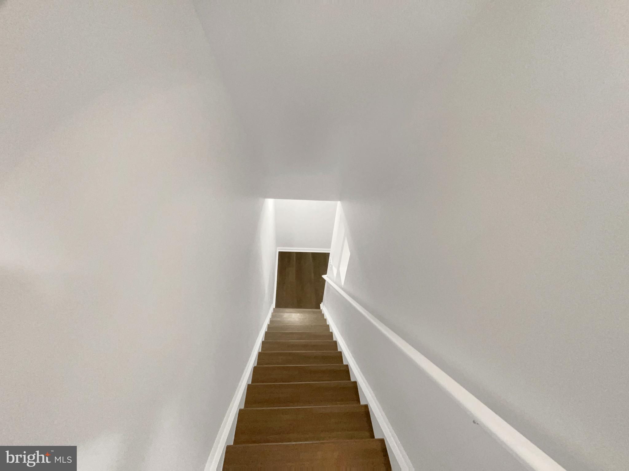 CARDINAL FOREST - Residential