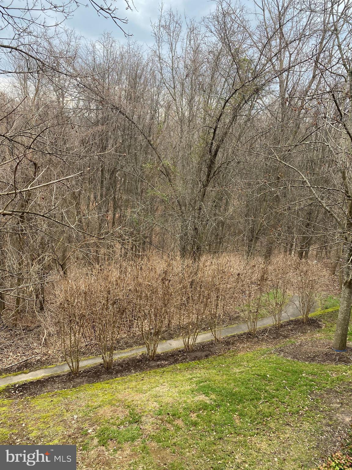 FOUNTAIN HILLS - Residential Lease