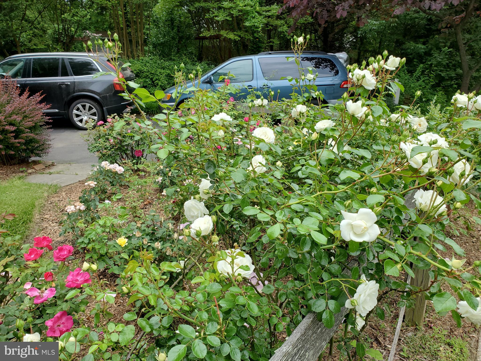 FALLS ORCHARD - Residential