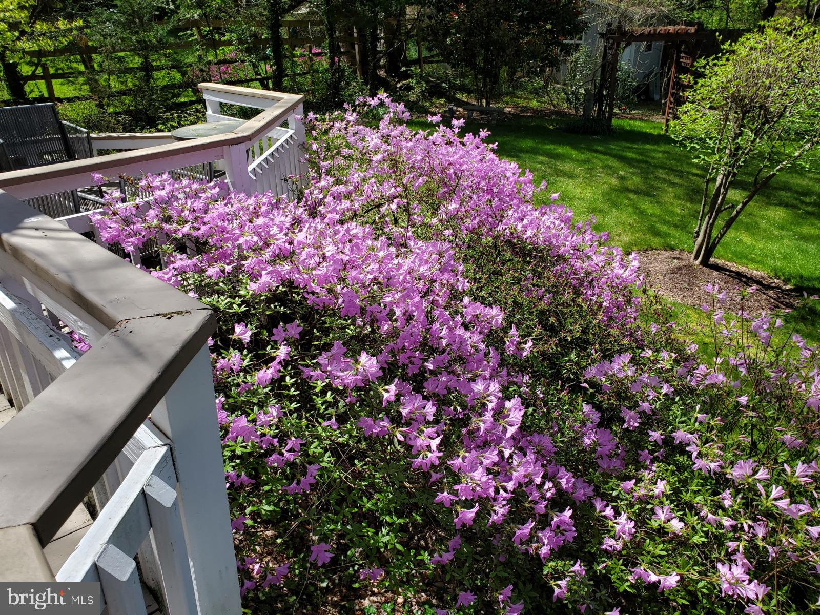 FALLS ORCHARD - Residential