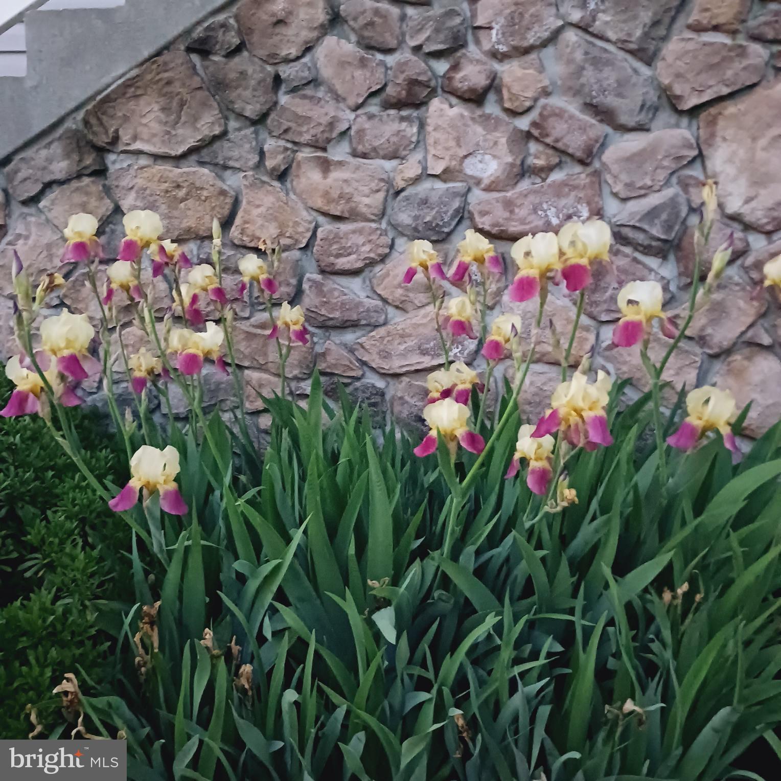 BROOK MEADOW - Residential