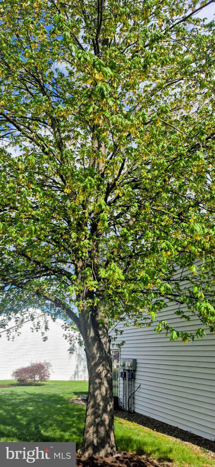 SOUTHPOINT - Residential