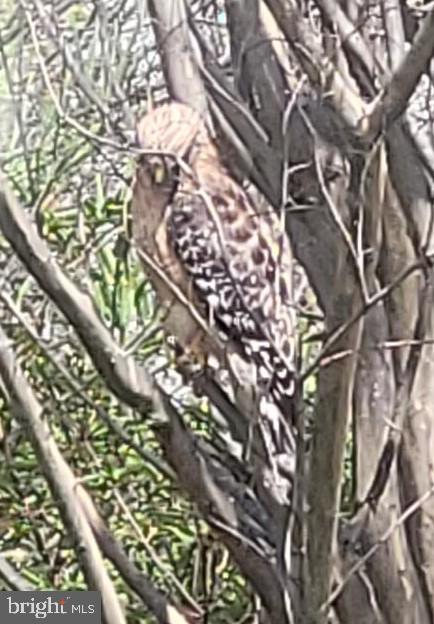 ESTATES AT LEEWOOD - Residential