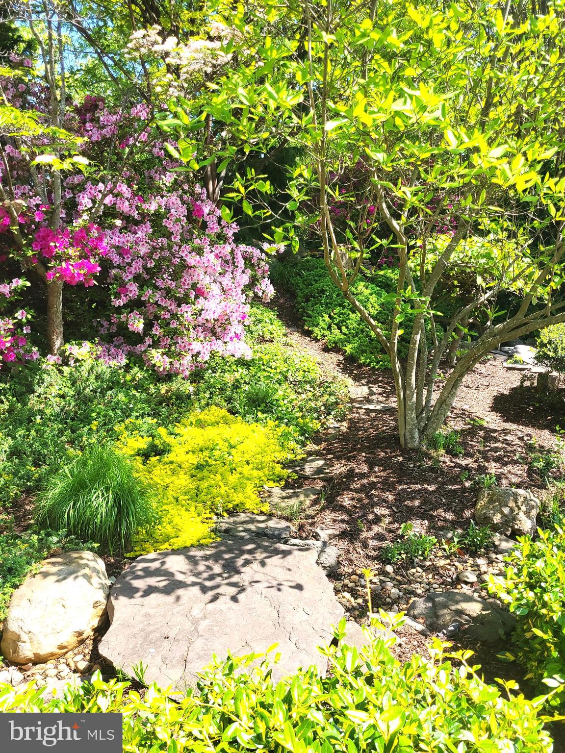 ESTATES AT LEEWOOD - Residential