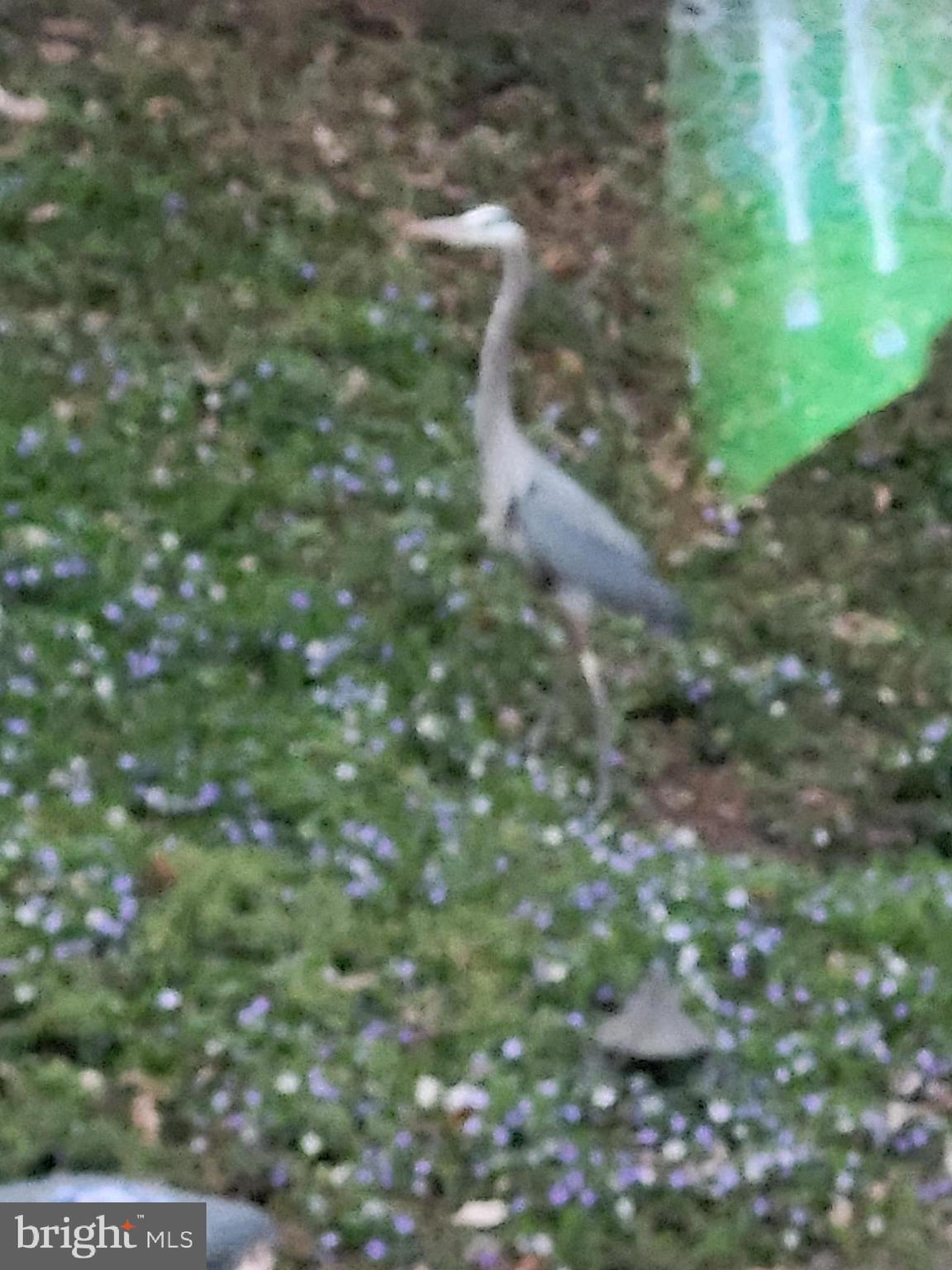 ESTATES AT LEEWOOD - Residential