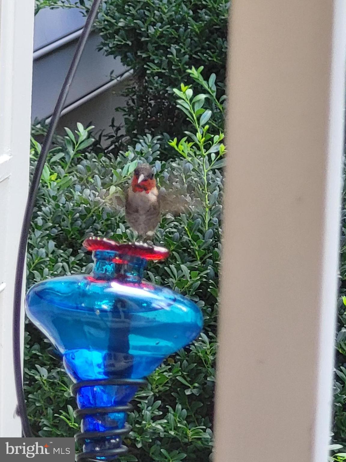 ESTATES AT LEEWOOD - Residential