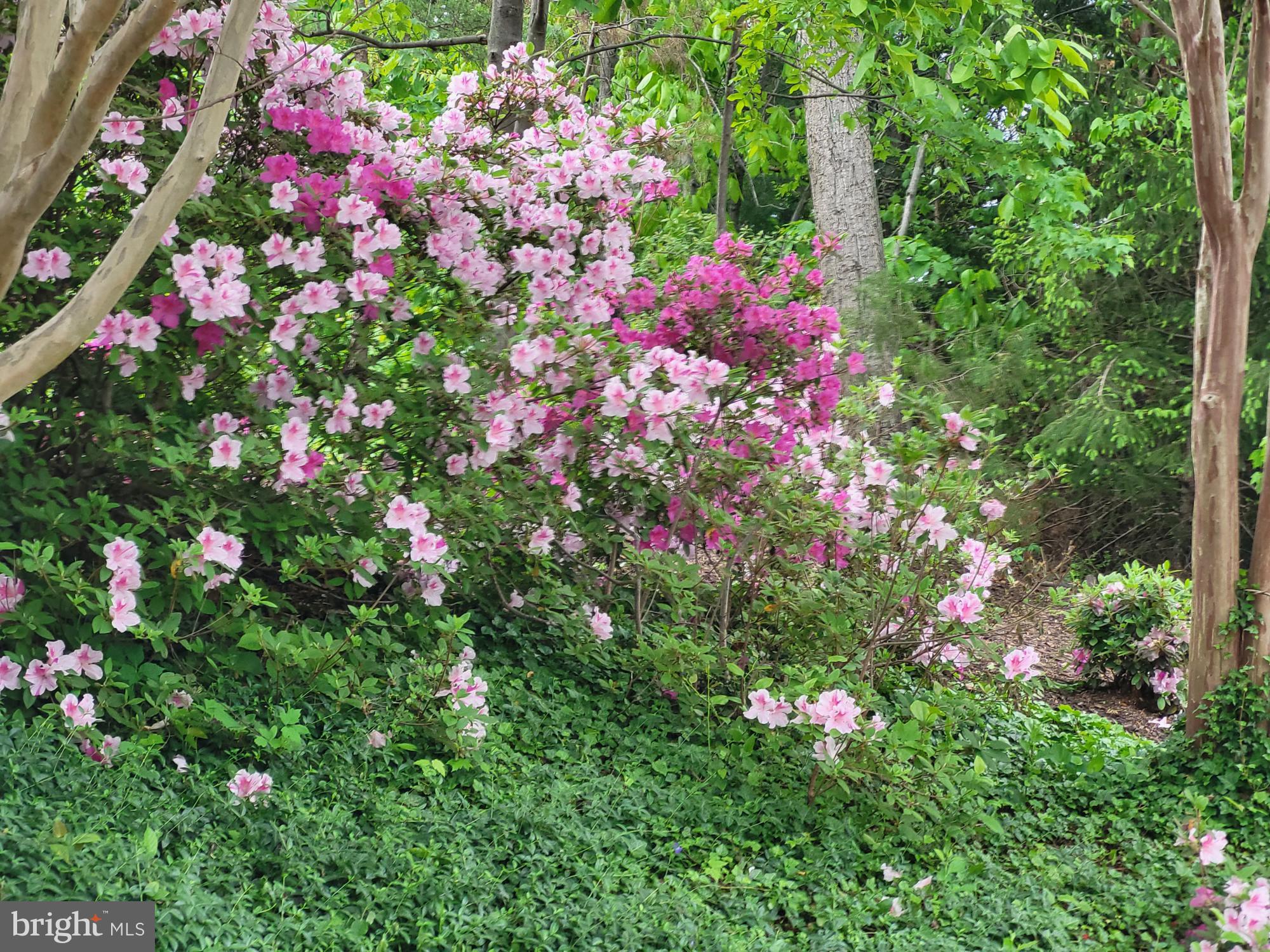 ESTATES AT LEEWOOD - Residential