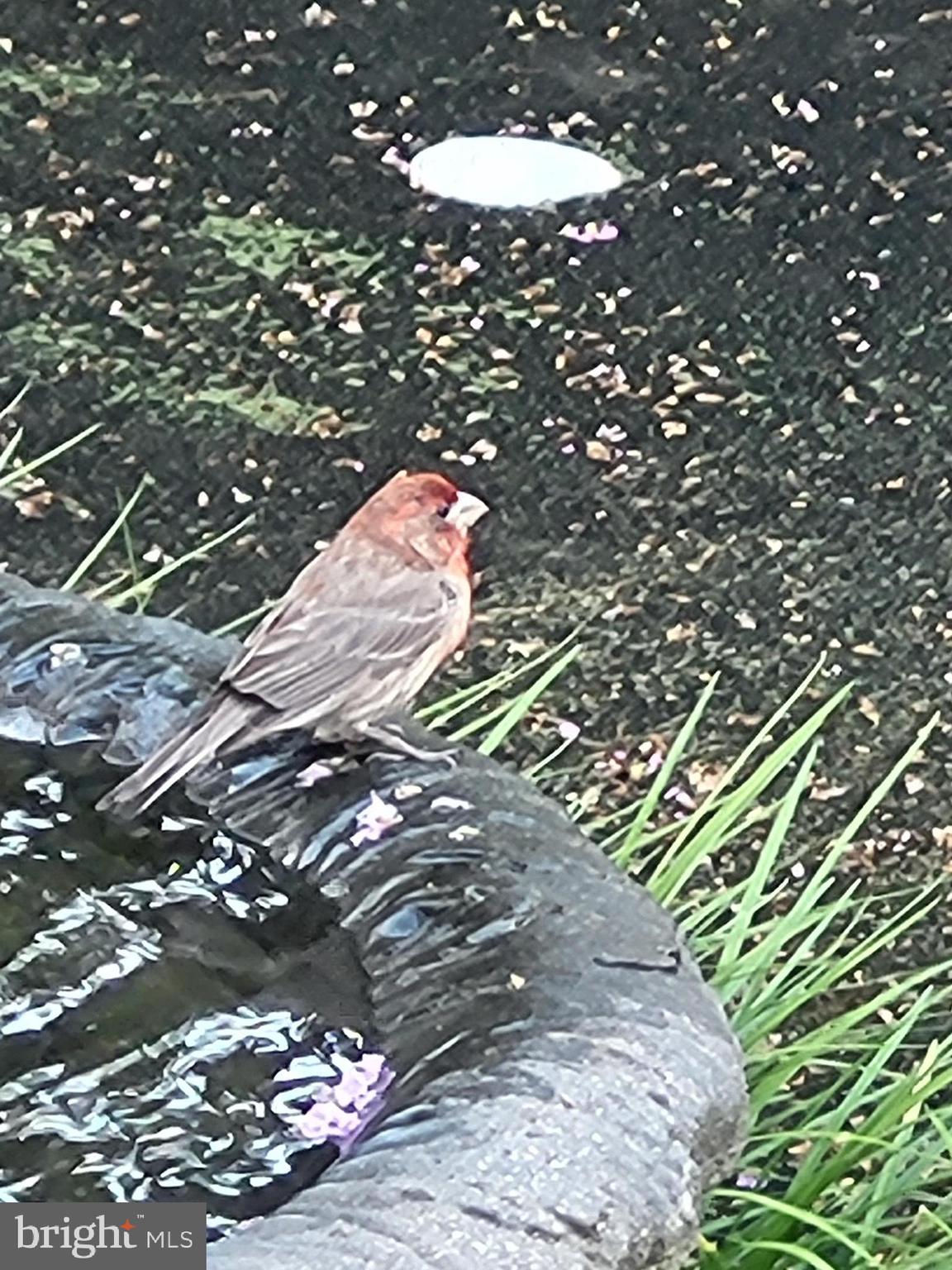 ESTATES AT LEEWOOD - Residential