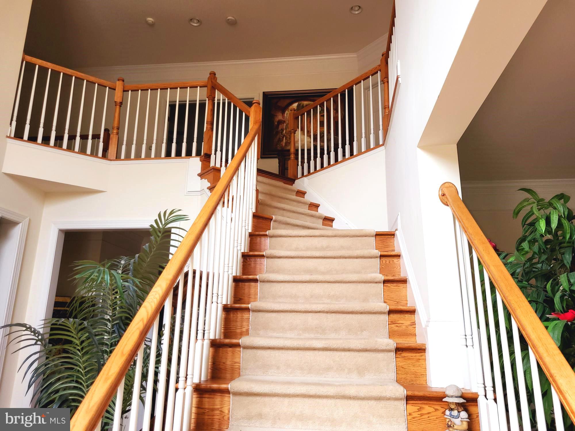 ESTATES AT LEEWOOD - Residential