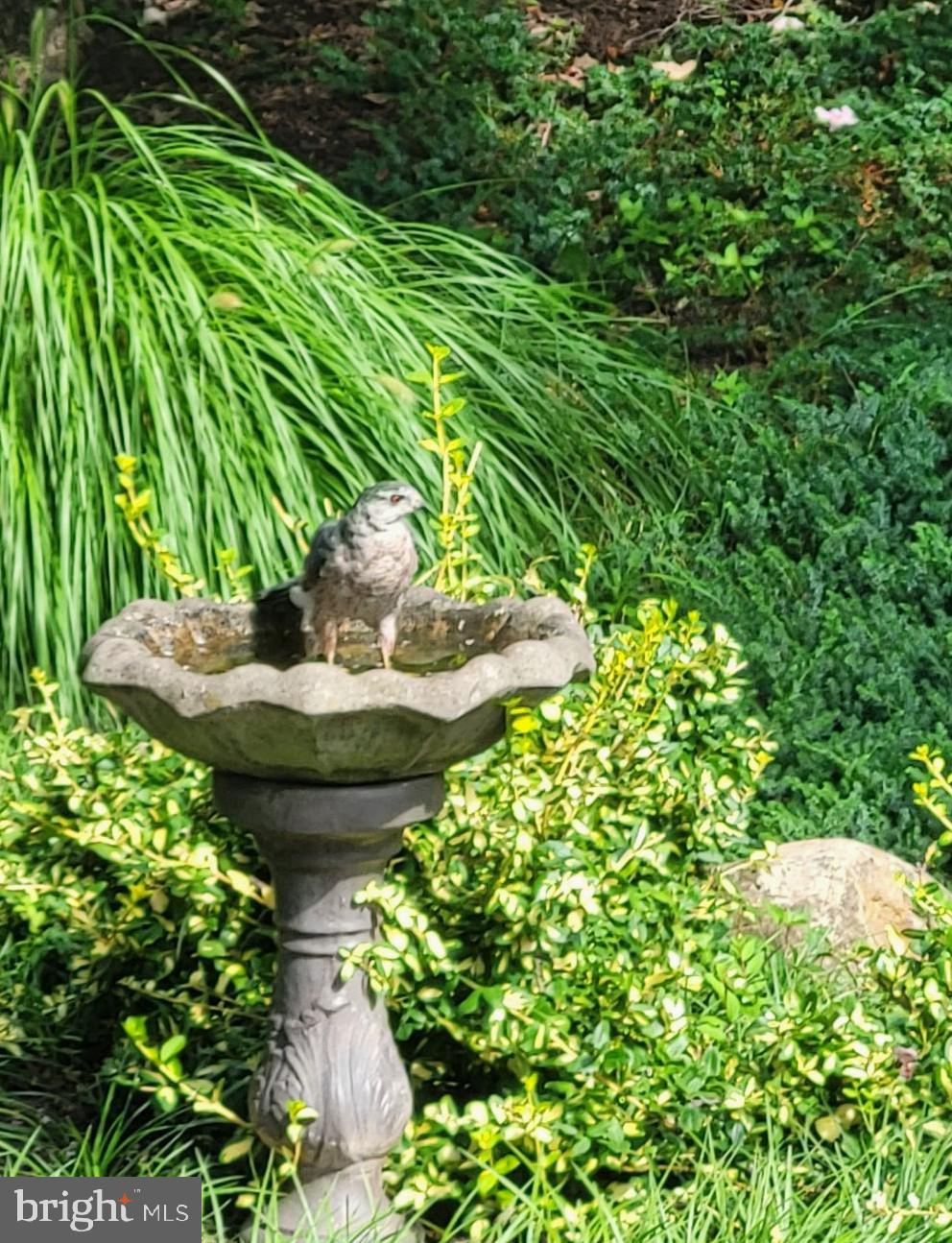 ESTATES AT LEEWOOD - Residential