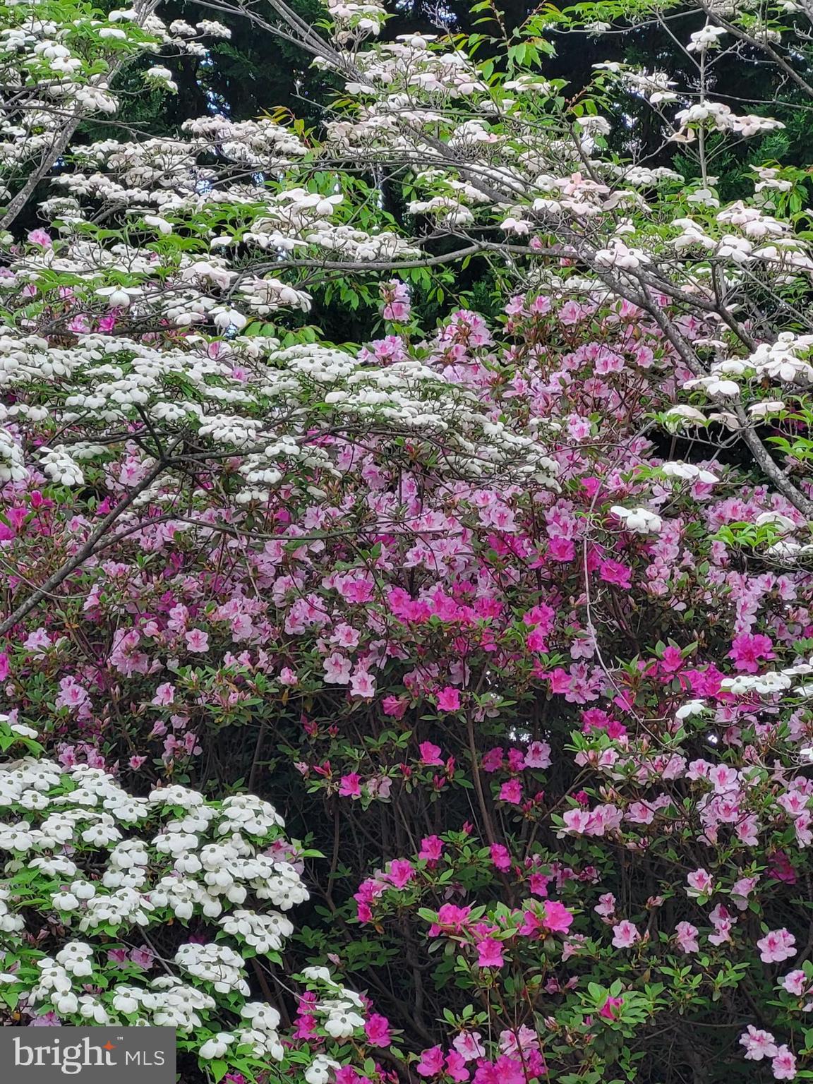 ESTATES AT LEEWOOD - Residential