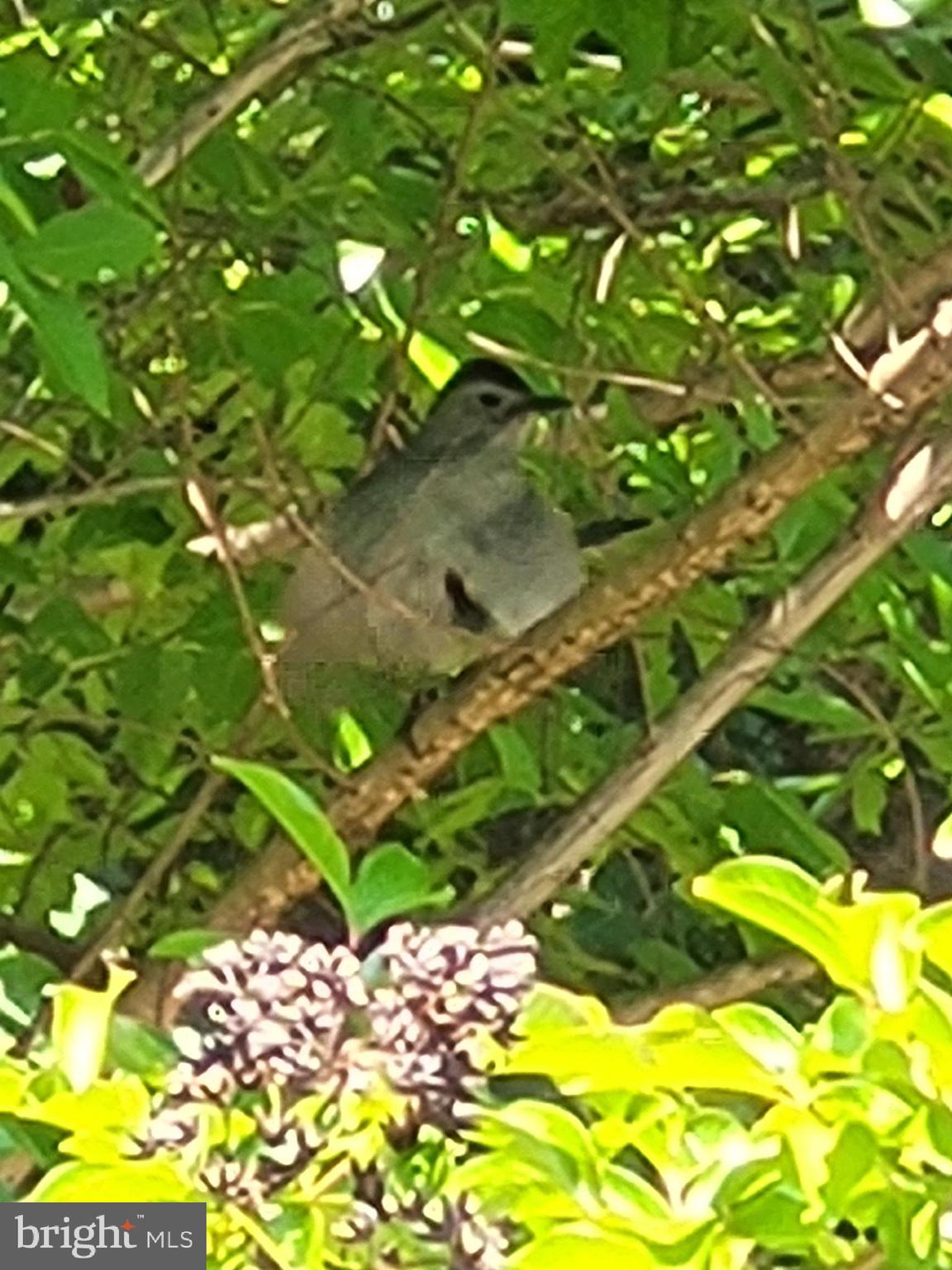 ESTATES AT LEEWOOD - Residential