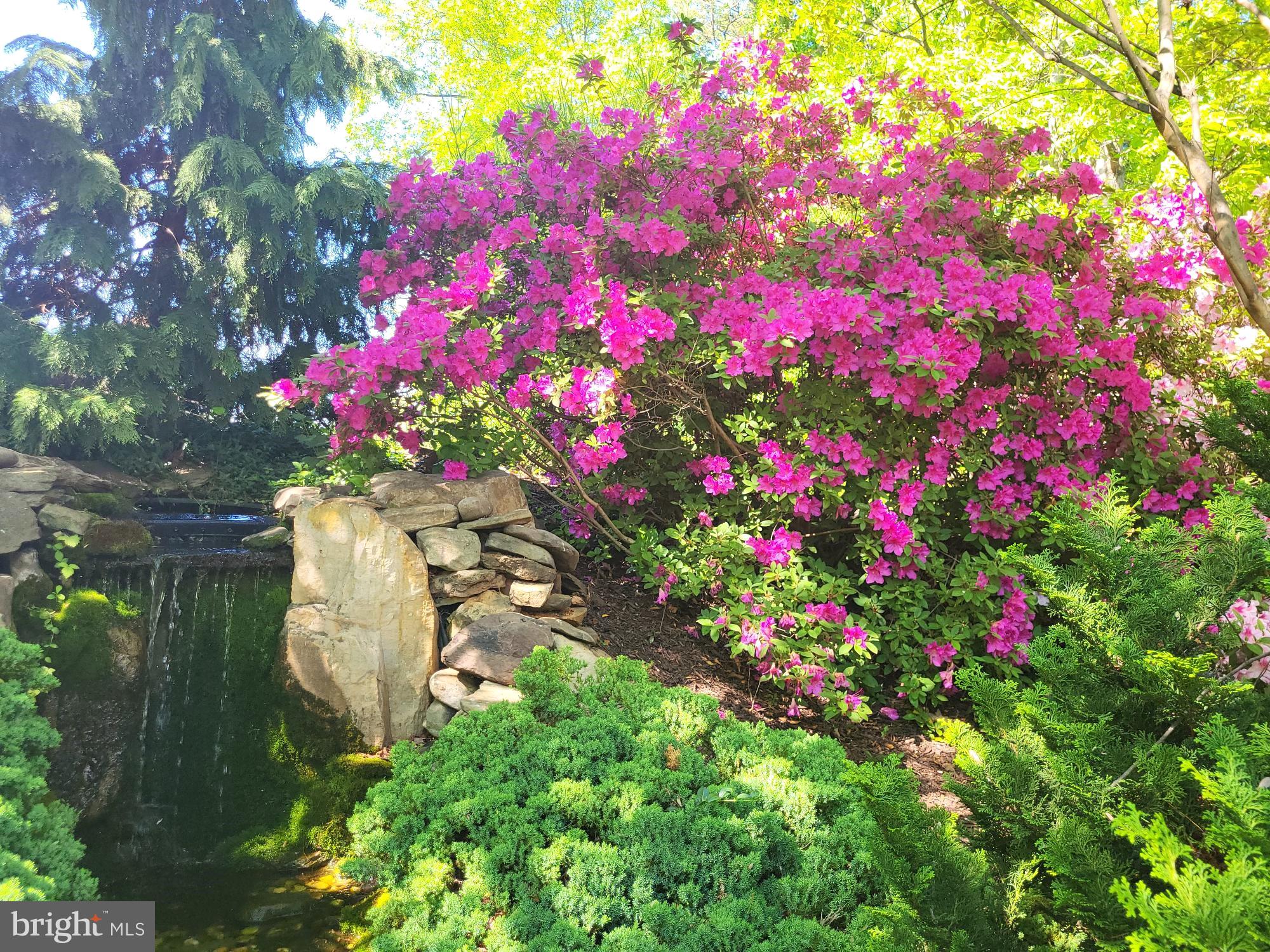 ESTATES AT LEEWOOD - Residential