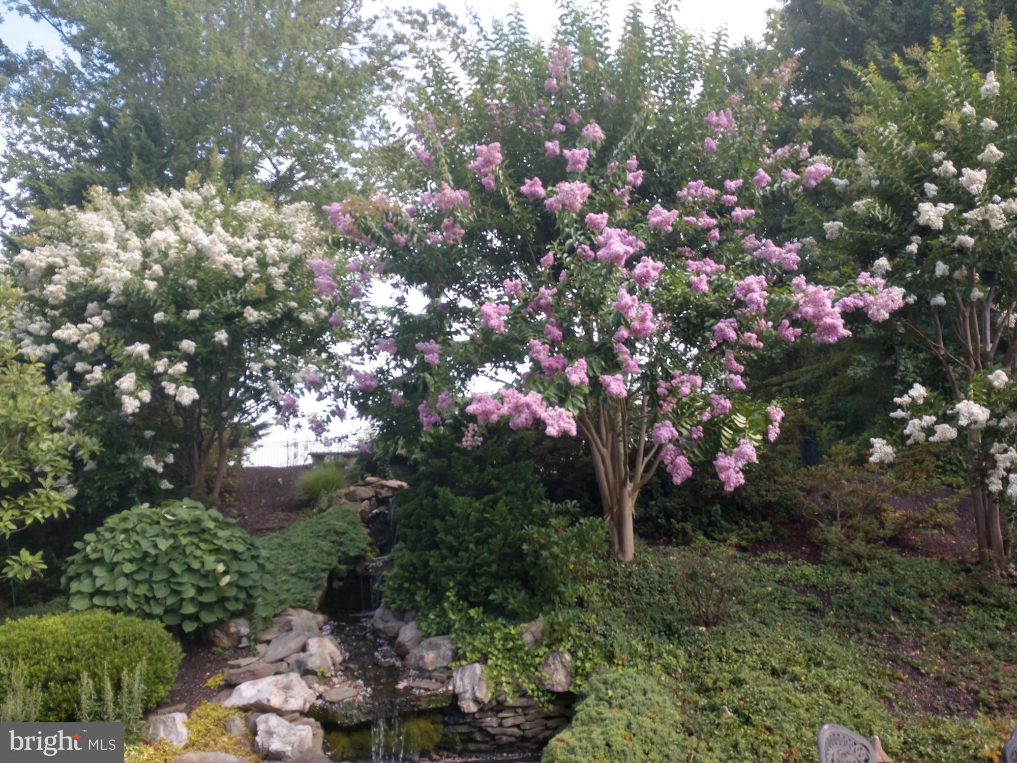 ESTATES AT LEEWOOD - Residential