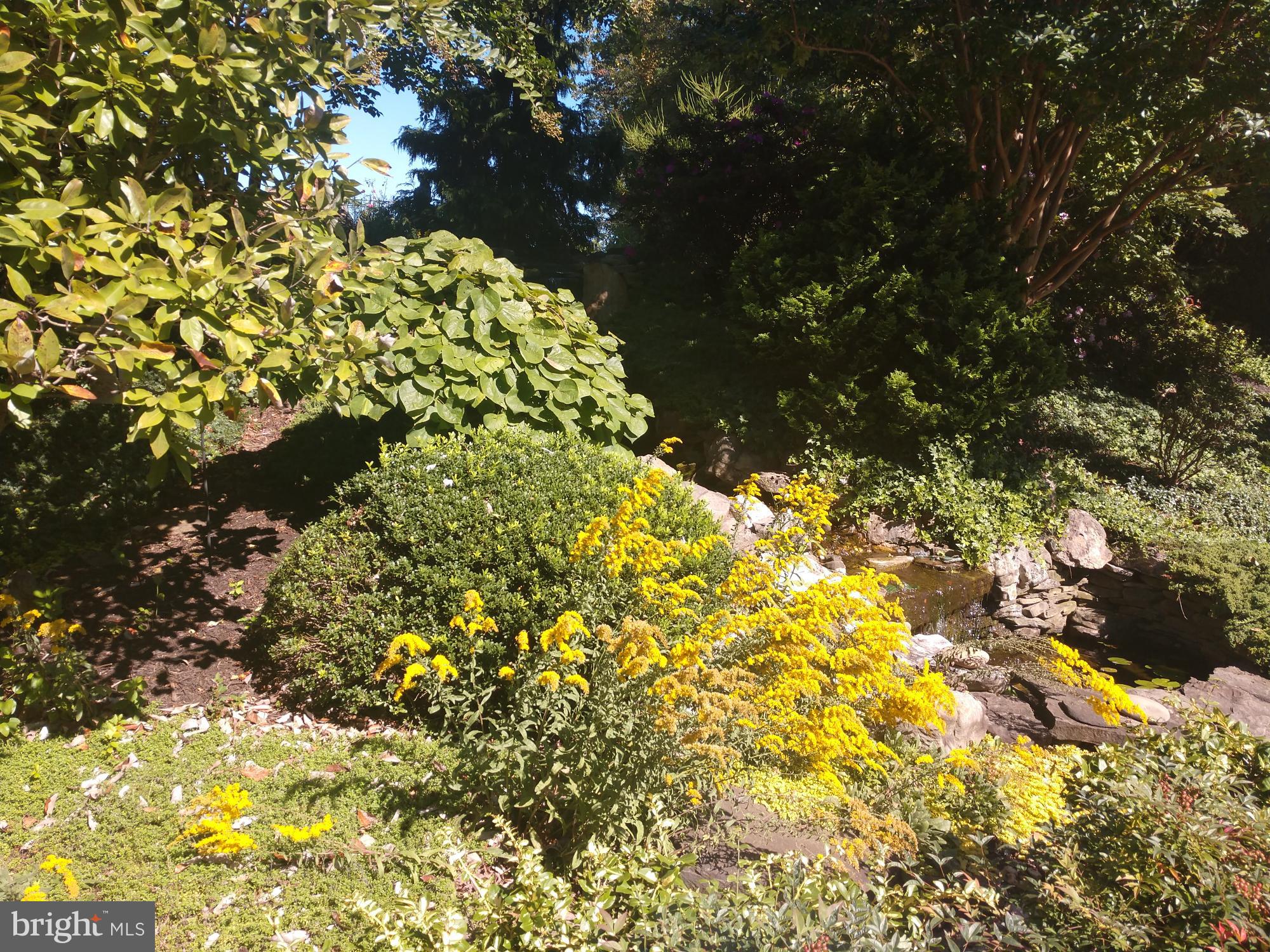 ESTATES AT LEEWOOD - Residential